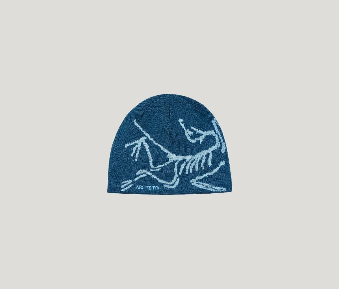 birdheadnightscape.jpg