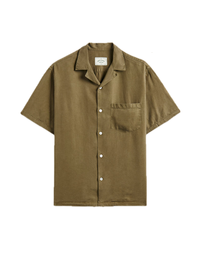 Dogtown_Olive_04_7cedef23-2f20-4461-9283-ac89ff3d80f8_800x Background Removed.png