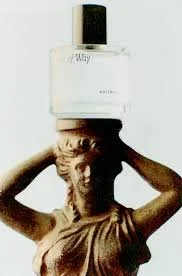 images.jpg