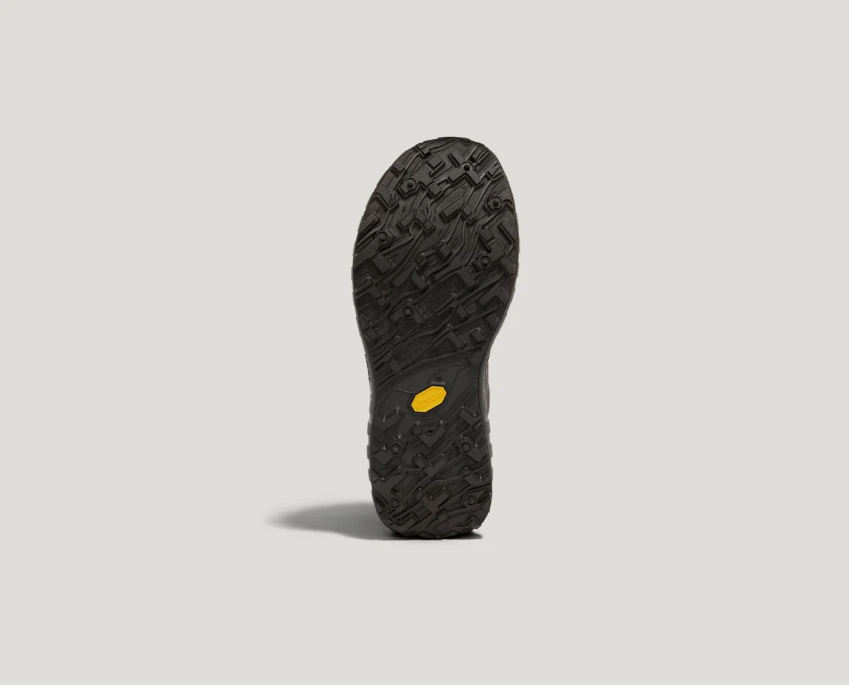 Star Anise 4.jpg