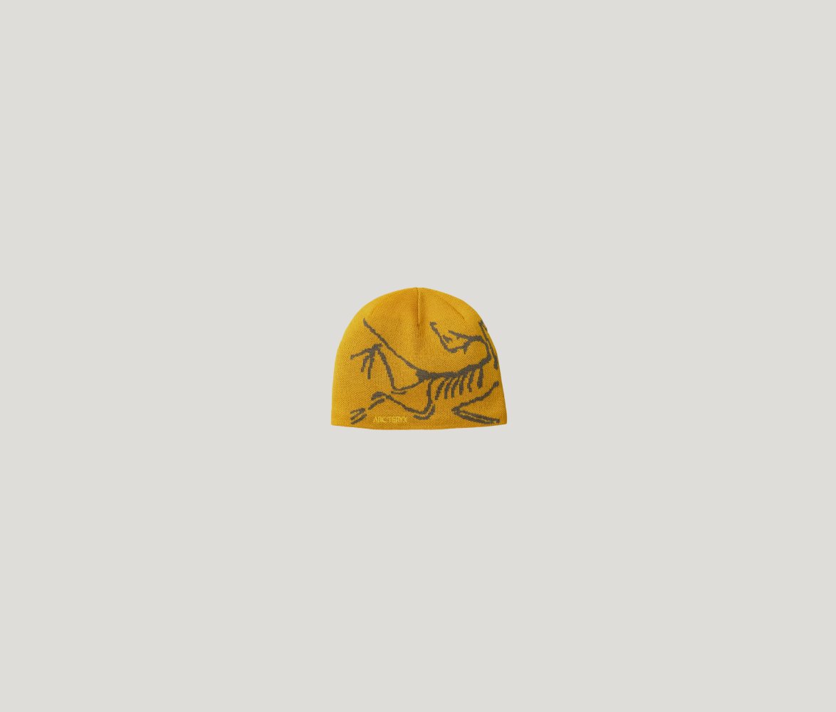 bird head nucleus.jpg