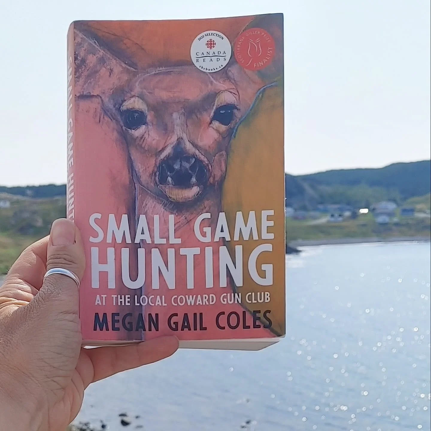 Small Game Hunting At the Local Coward Gun Club by Megan Gail Coles is a banger of a novel. Set over a single day, where the intertwined lives of coworkers at a St John's restaurant called The Hazel, implode. This book got plenty of press, shortliste
