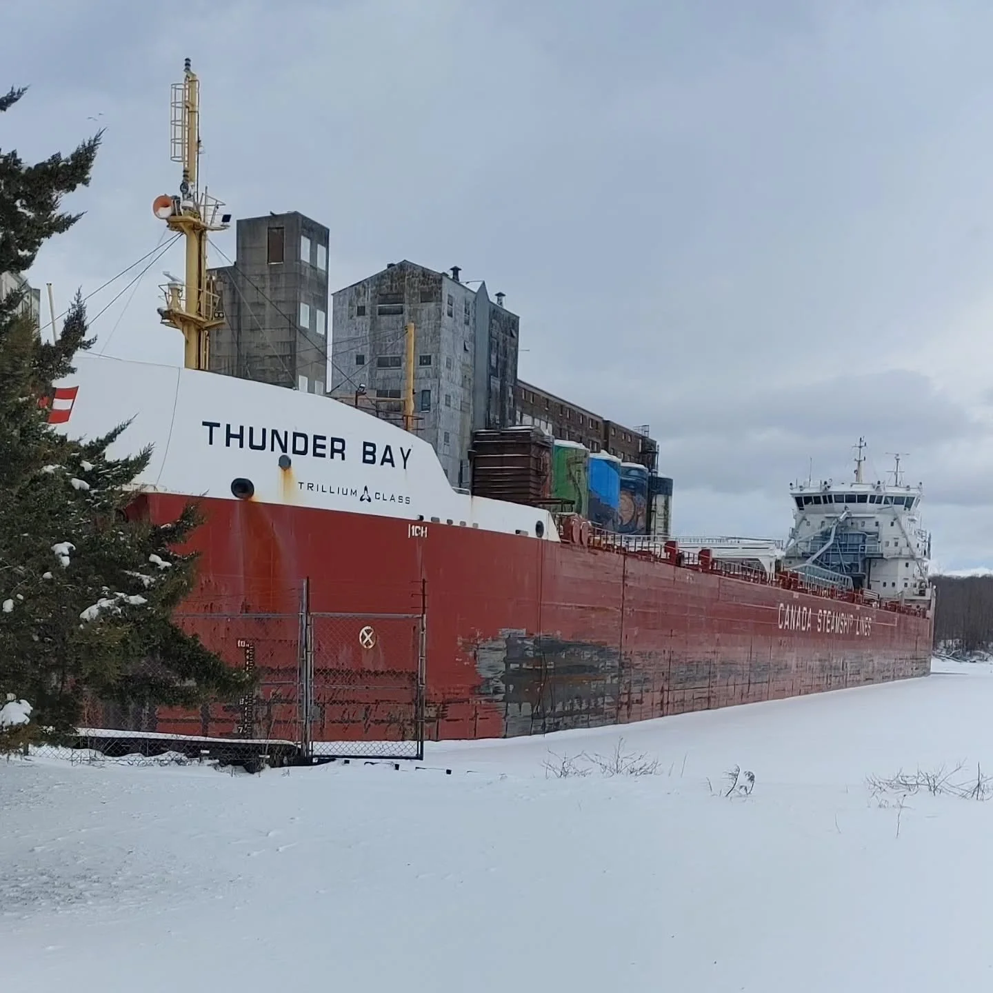 Not in Thunder Bay but we had some thunder snow.
#Minden, Ontario
