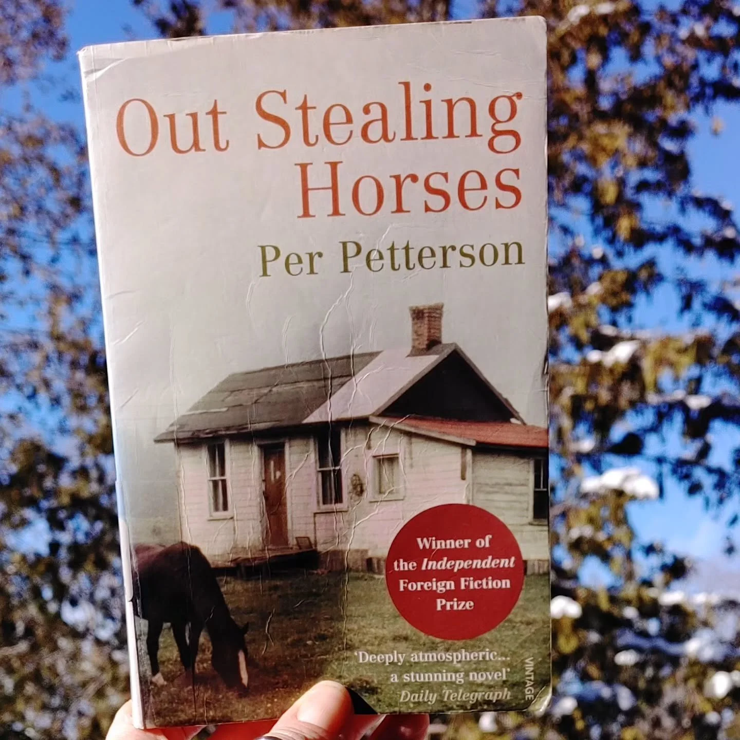 This is Out Stealing Horses by Per Petterson, a quiet, introspective story about Trond, who recounts his time spent with his father at a cabin in Norway during the 40s. The characters are flawed in all the ways humans tend to be. Trond and probably h