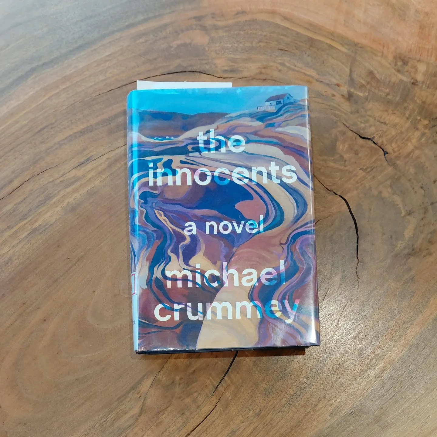 The Innocents, by Michael Crummey is an endlessly heartwrenching novel. About two young children, brother and sister, who are orphaned in a desolate cove in northern Newfoundland. The telling is so vivid that you feel every setback and victory the si