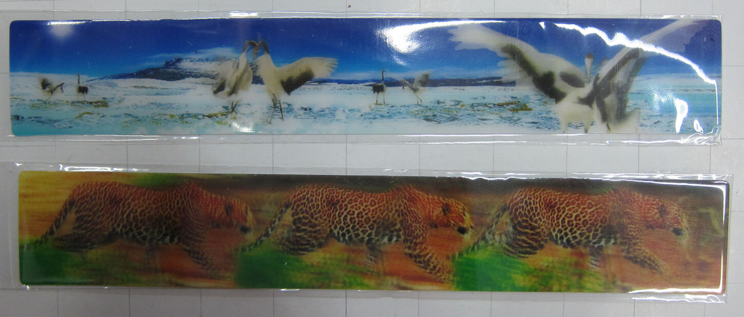 1-303 Motion Ruler - $.50/$.50/$.50