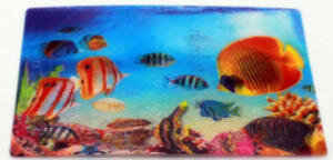16-402 3D Nature Card- $.25/$.25/$.25
