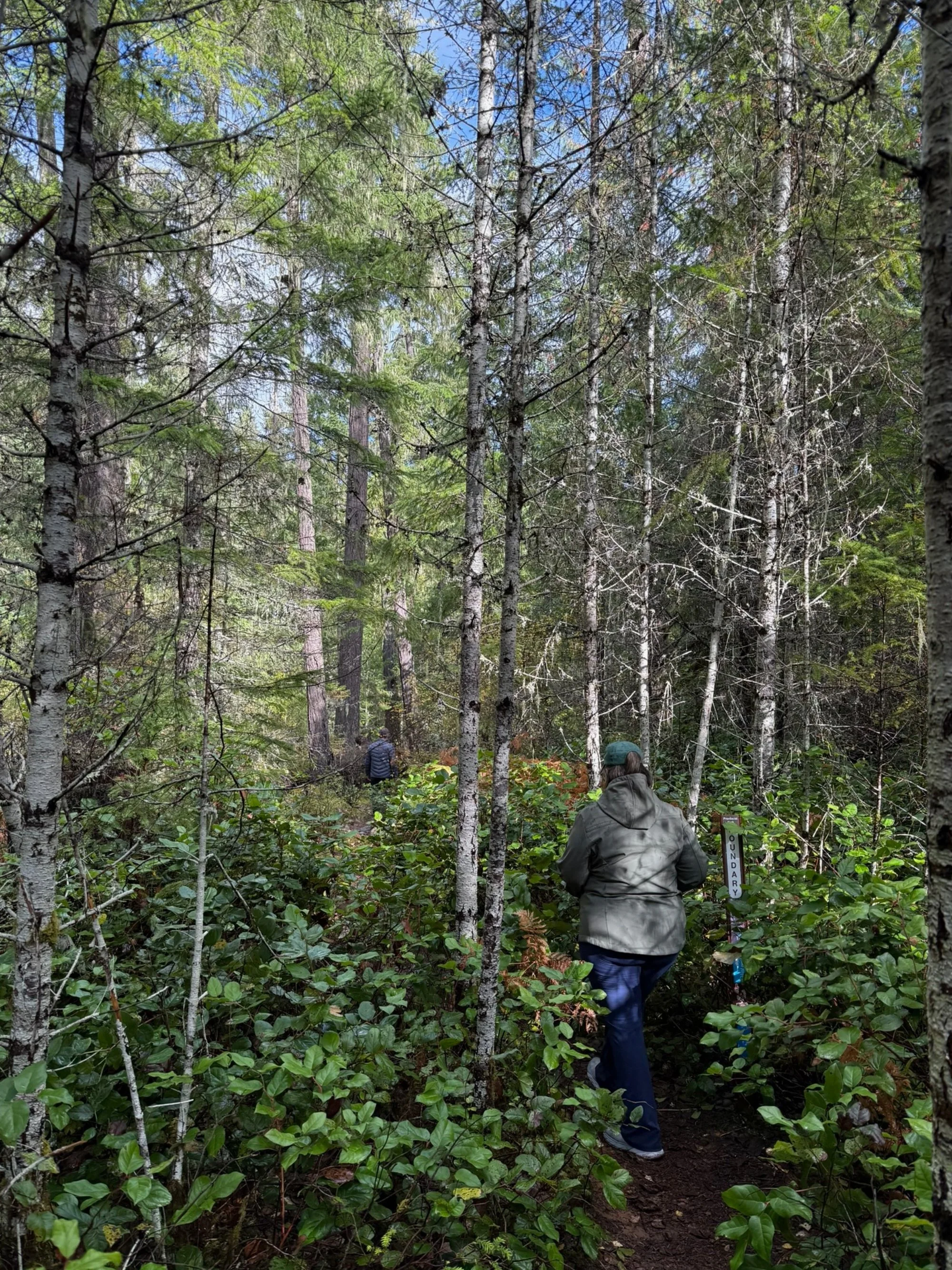 When the world feels loud