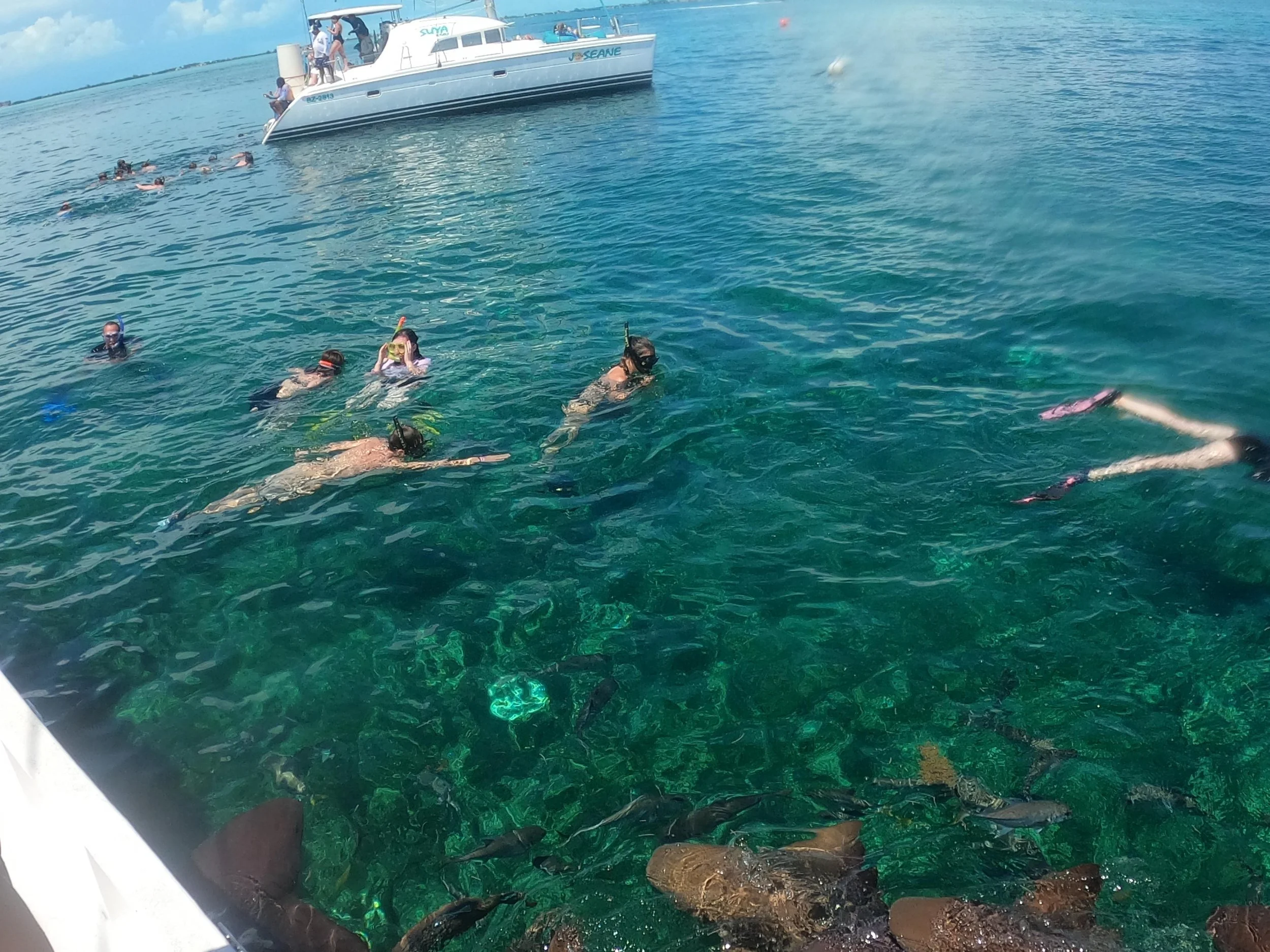 Group of people snorkeling in clear blue water near a boat, with some fish visible underwater and the boat anchored in the background at Hol Chan Marine Reserve.