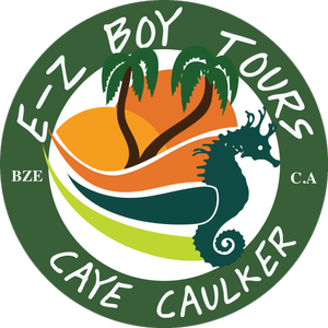 E-Z Boy Tours