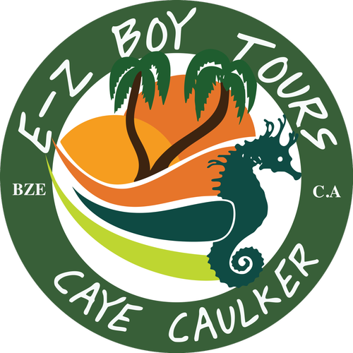 E-Z Boy Tours official logo