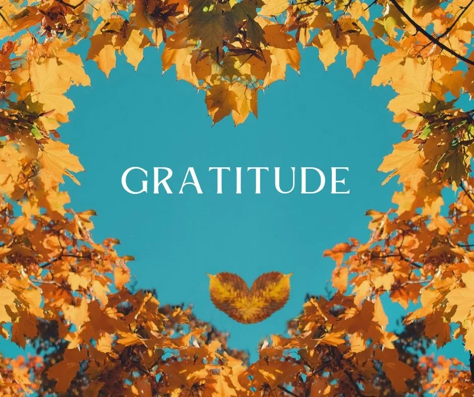 GRATITUDE.jpg