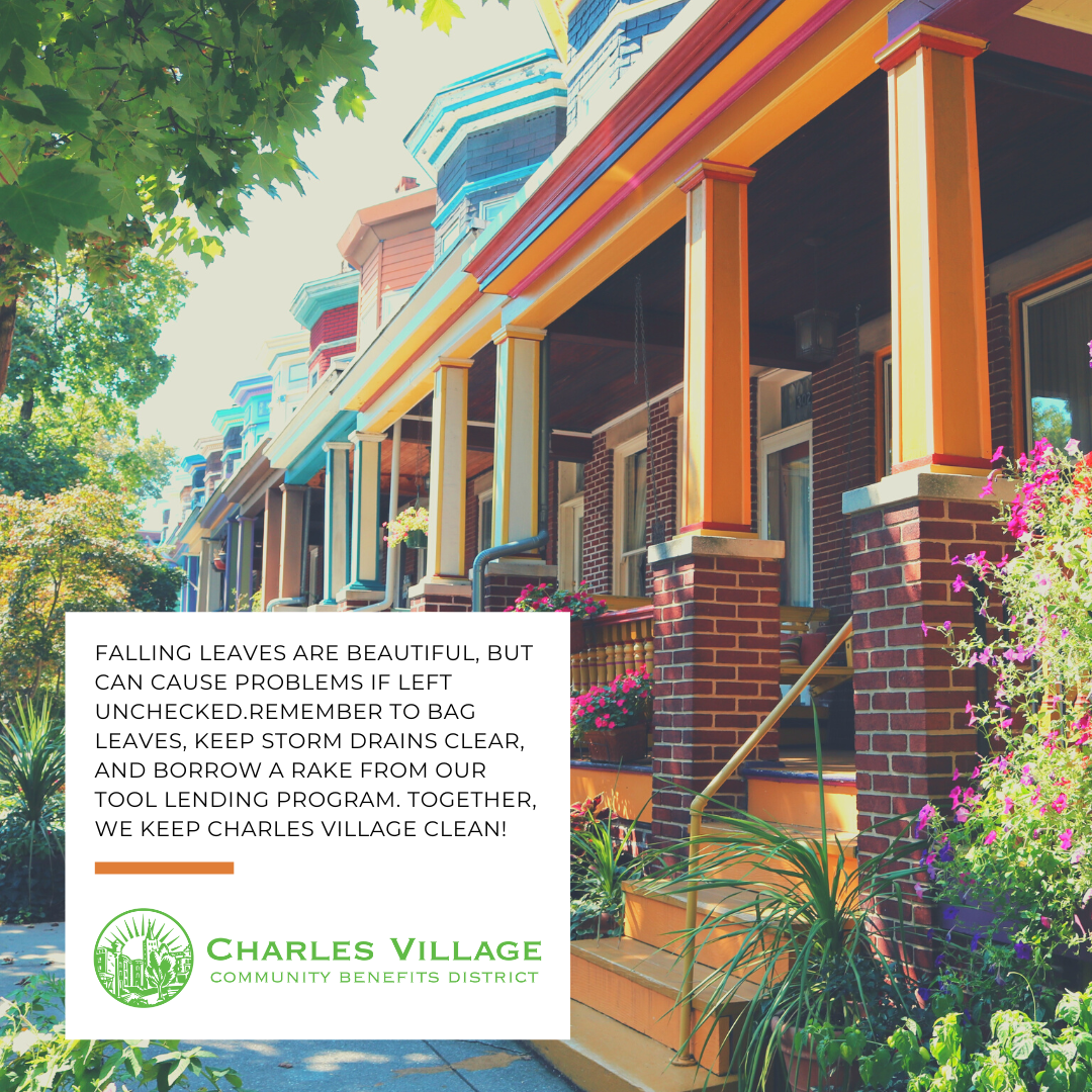 Charles Village Apartments
