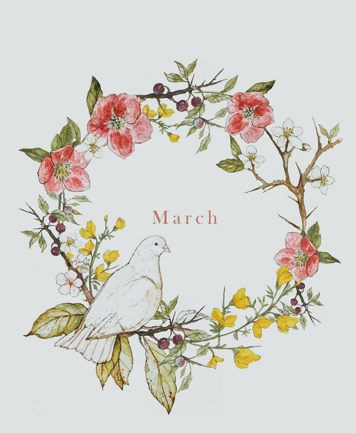 Welcome March 🦋
Happy shift of the season ethos family. 
March brings the equinox, and the beginning of a new cycle. Spring is all about sowing seeds, new beginnings, and cleansing our bodies from the stagnancy of winter. This is shown to us by the 