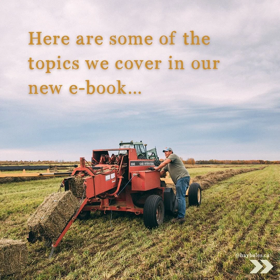 Born from decades of hands-on farming, this e-book offers you the tools and knowledge to work smarter, not harder&mdash;get your info straight from the horse&rsquo;s mouth! 

Comment &ldquo;READY&rdquo;