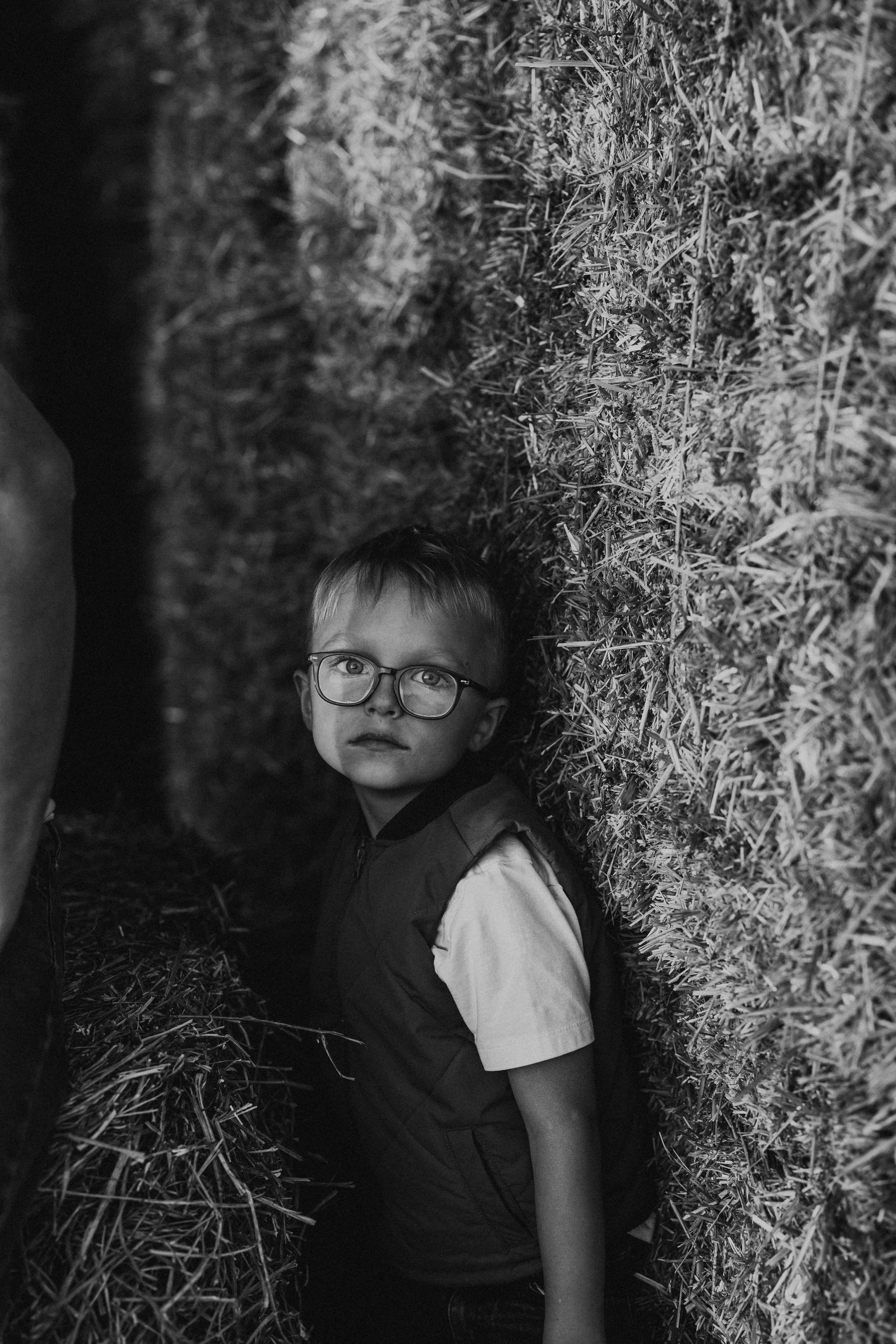 The Real Cost of Dusty Hay (and Why We Avoid It at All Costs)