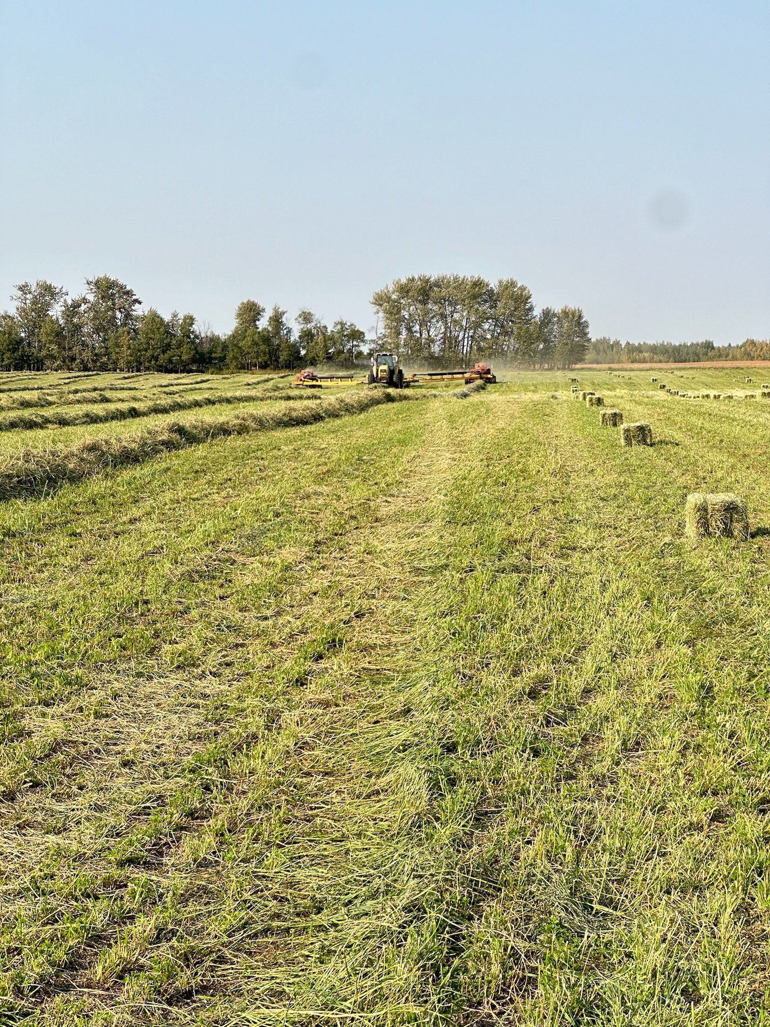 Why River Valley Farmland Is Different