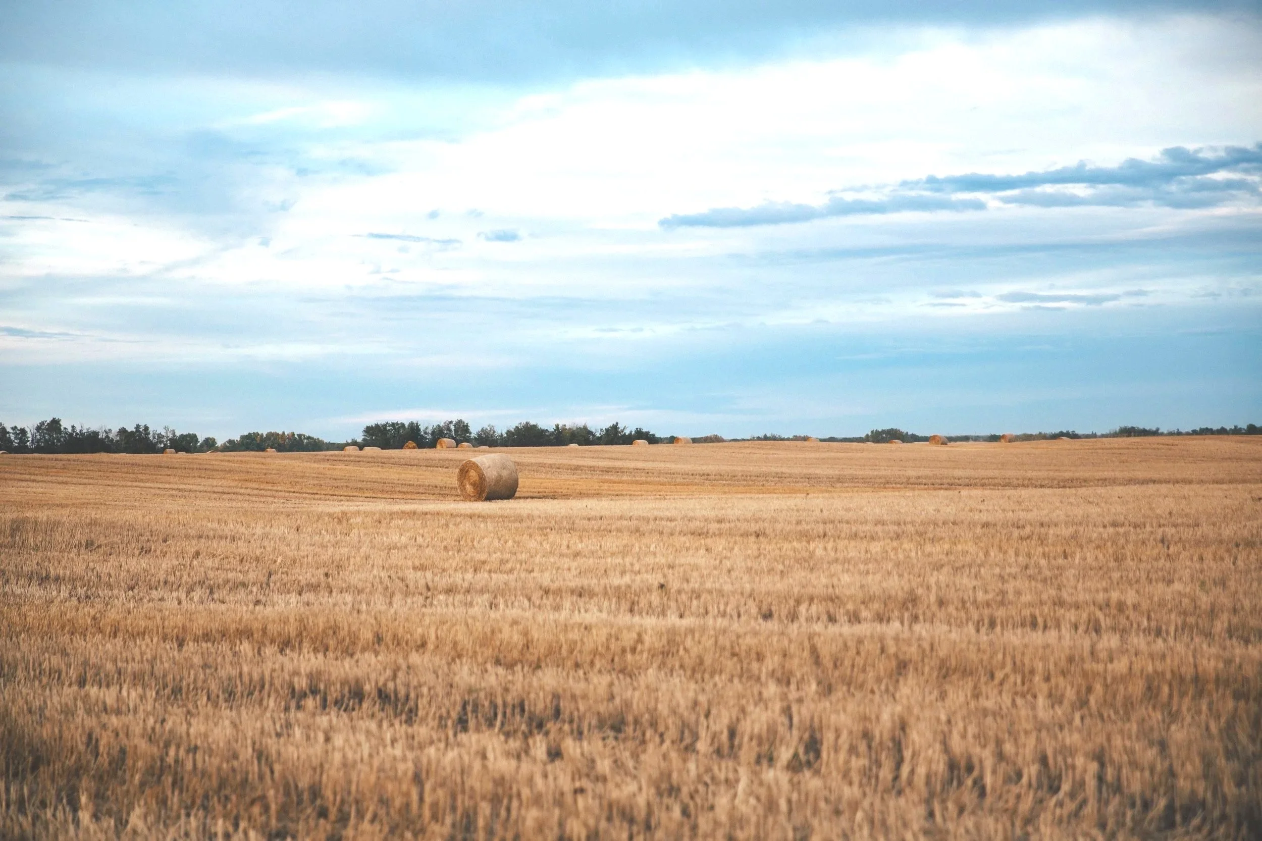 Specialty Hay  Order Bales 