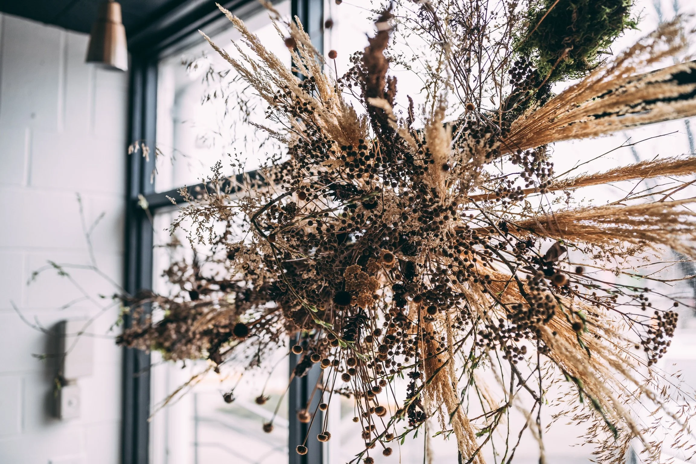 Close-up of a dried flower arrangement with various grasses and seed pods hanging inside a room near a window.