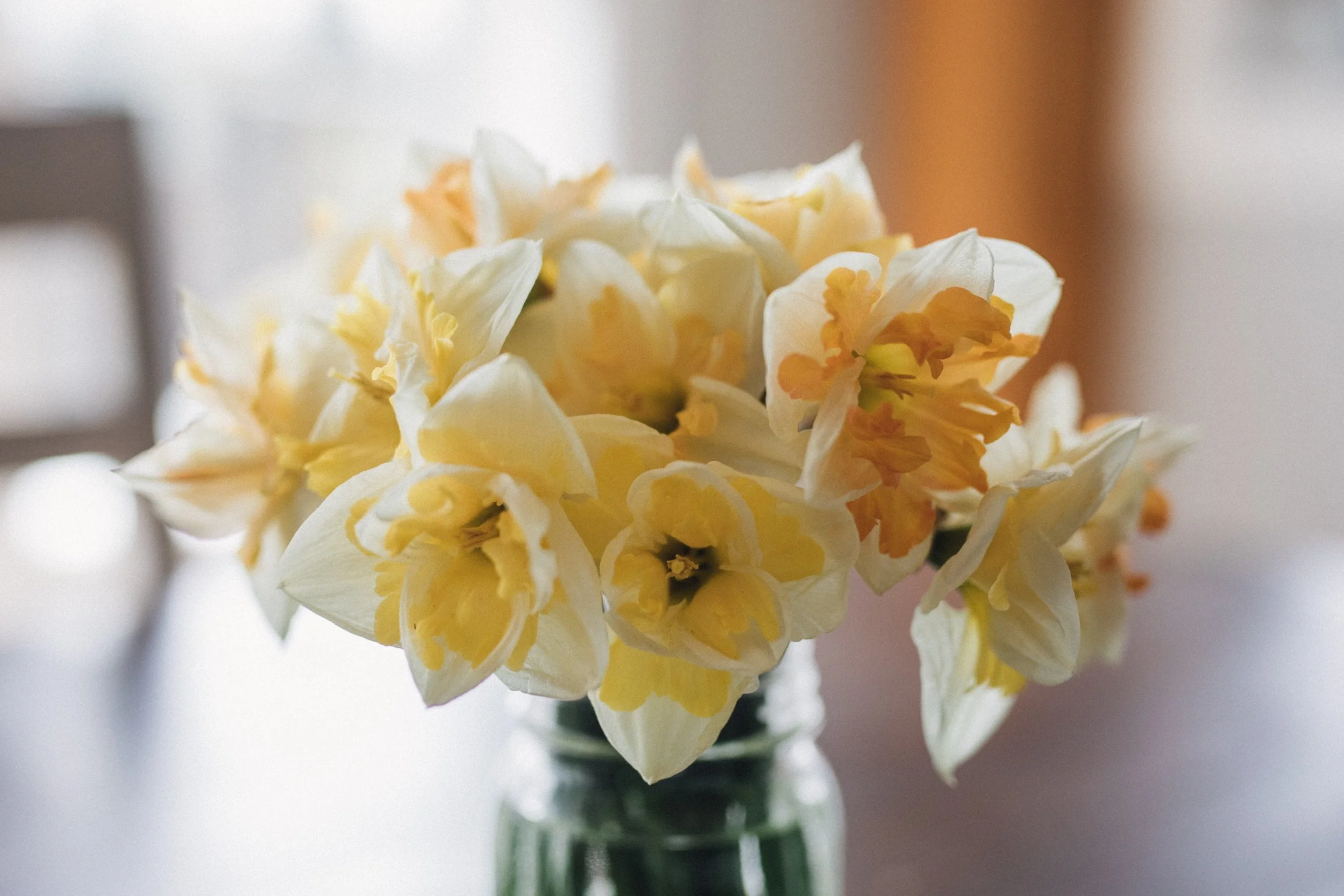 A close-up of a bouquet of white and yellow flowers in a glass vase, with a blurred background.