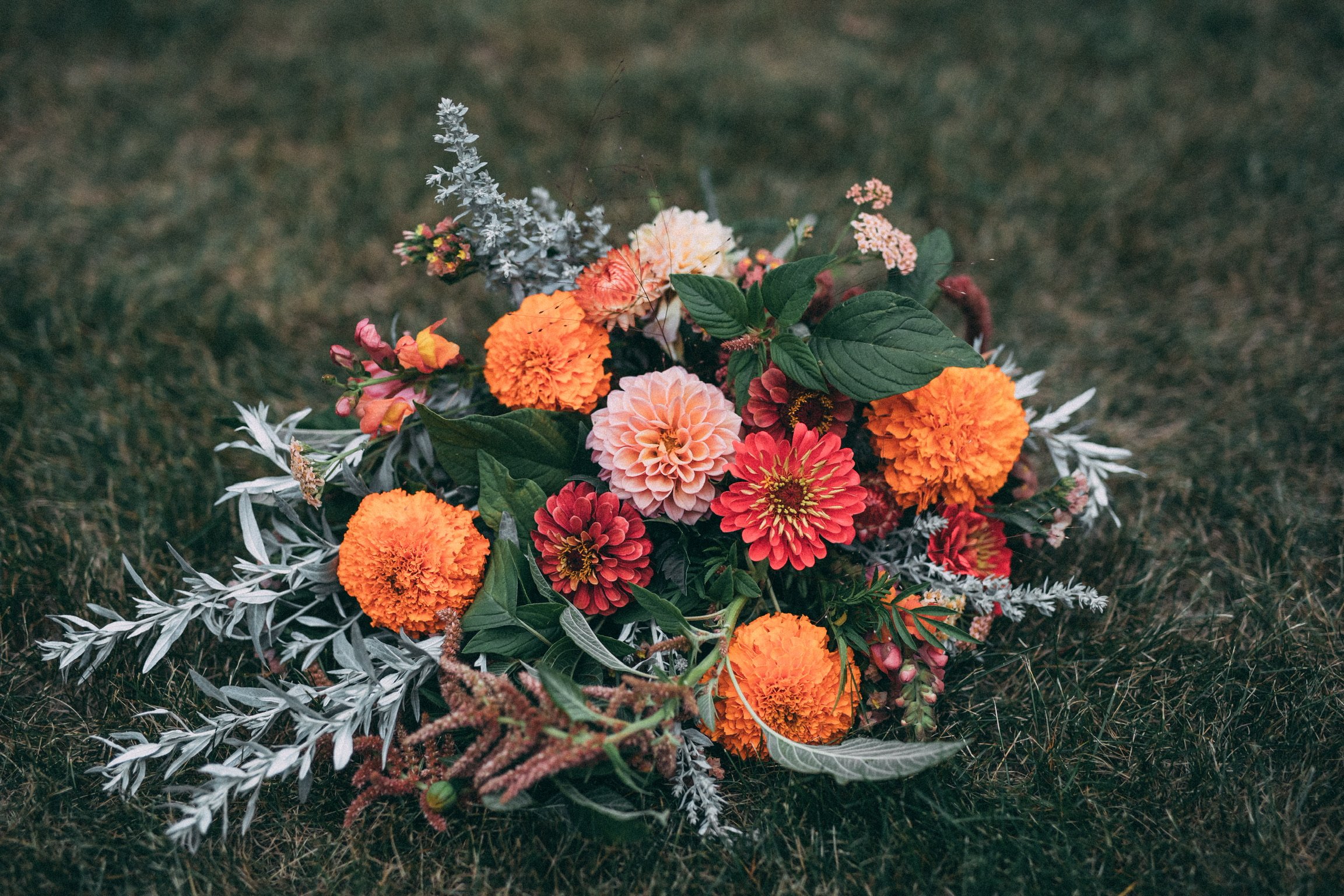 A bouquet of colorful flowers, including orange marigolds, pink dahlias, and red zinnias, rests on the grass with some silver-gray leaves around it.