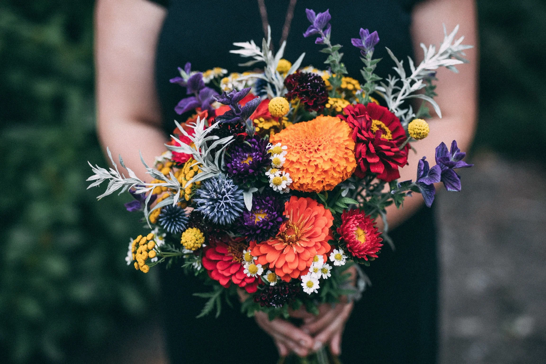 A person holding a colorful bouquet of assorted flowers including orange marigolds, purple lavender, red and yellow daisies, and white and yellow chamomile, against a blurred green outdoor background.
