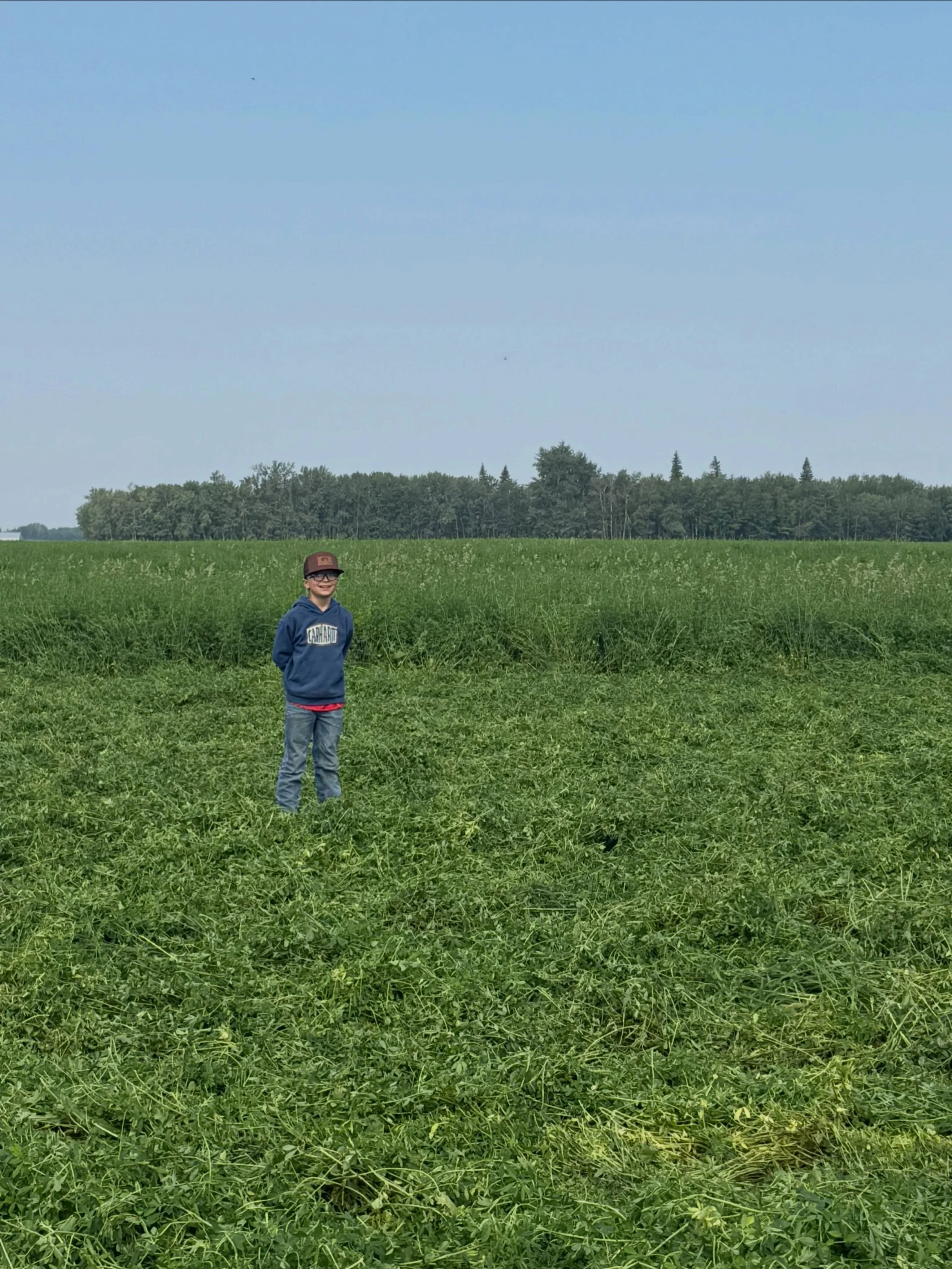 Like father, like son! Dash is a a young man outstanding in his field 🤗

#ToewsAndBale #Haybales #Farm #FarmKids #CanadianHay