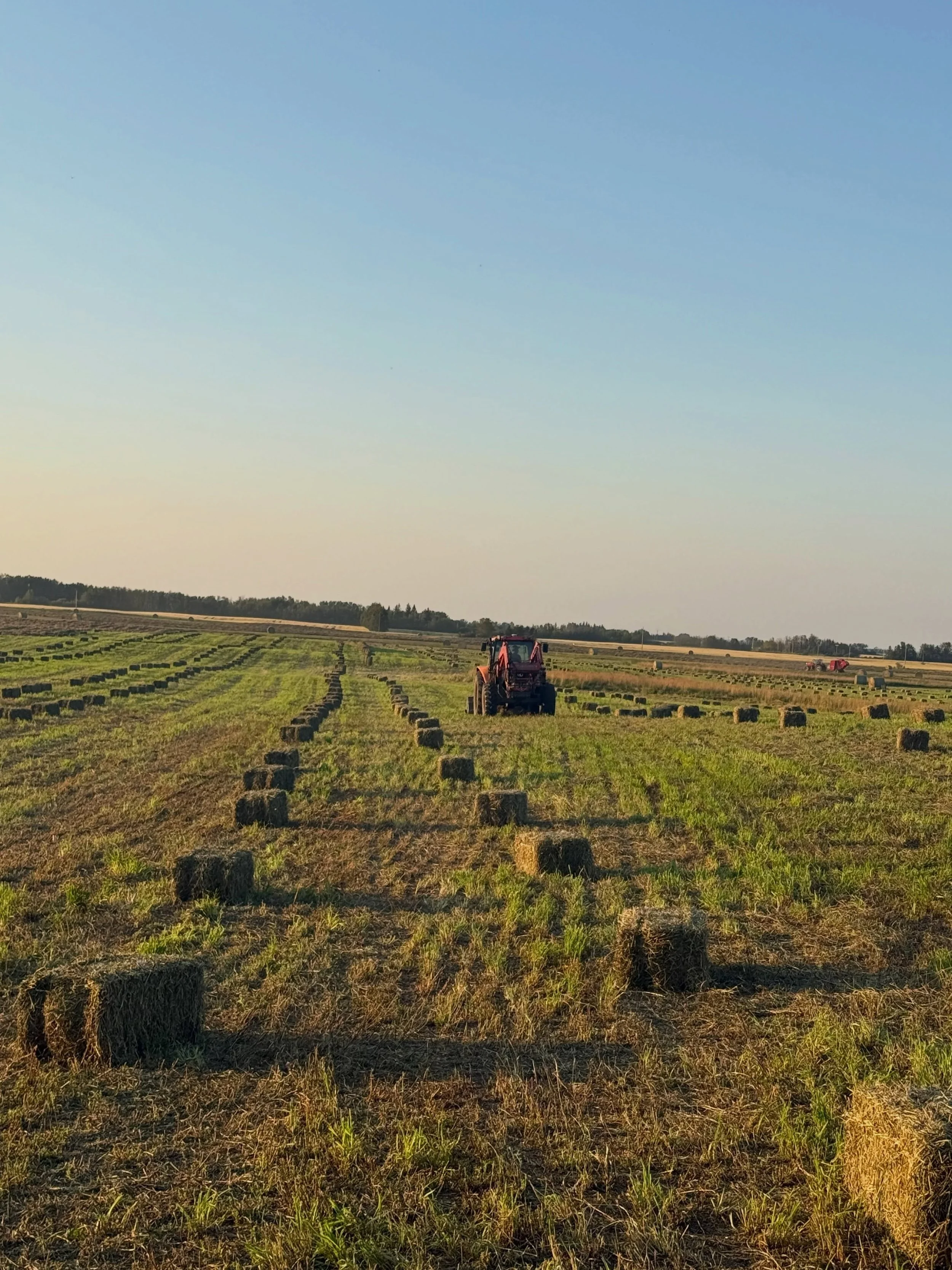 Views like these make it all worth it 😍

#Haybales #ToewsAndBale #AgViews #MakingHay #FieldDays