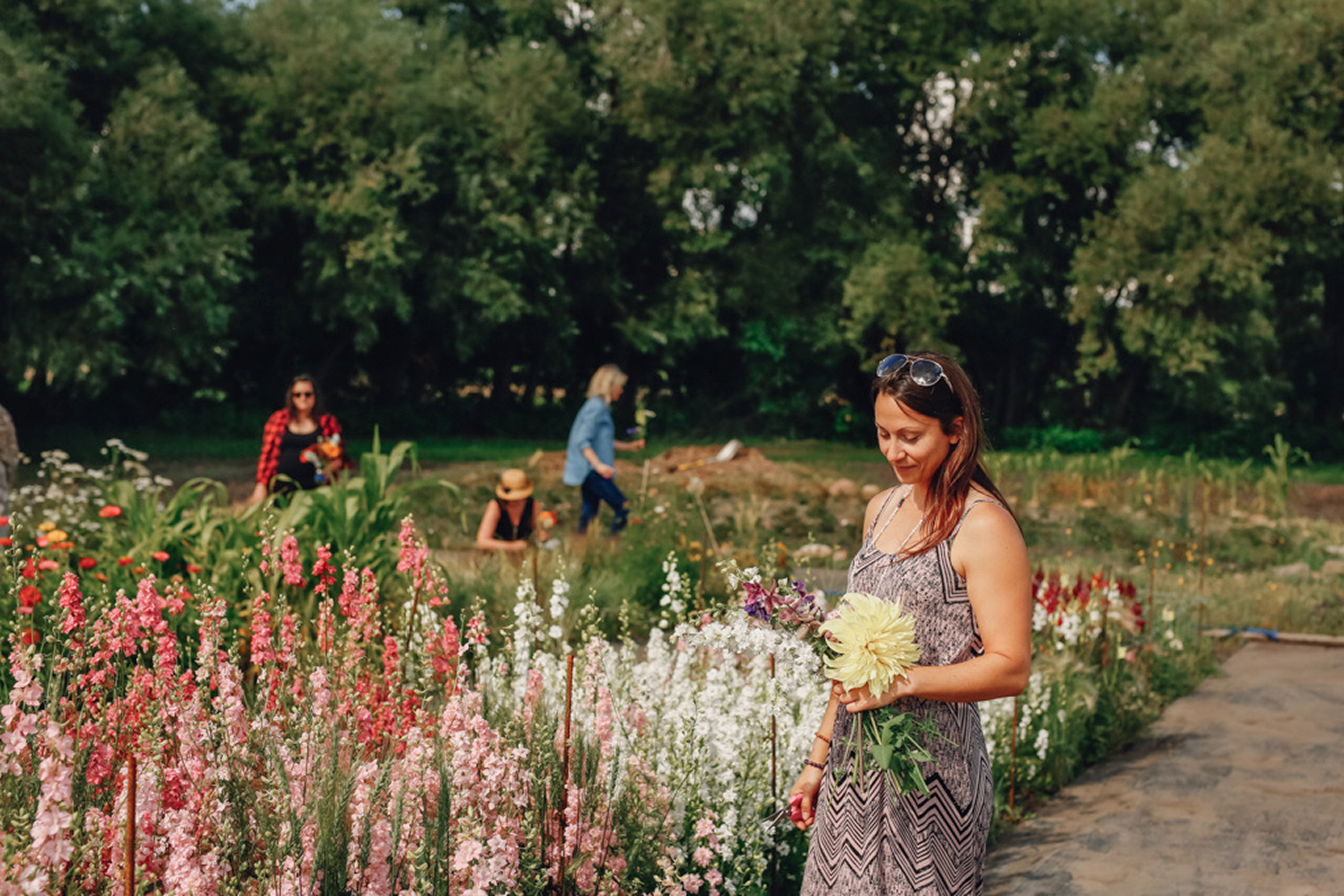 Women in the rows of a small flower farm.