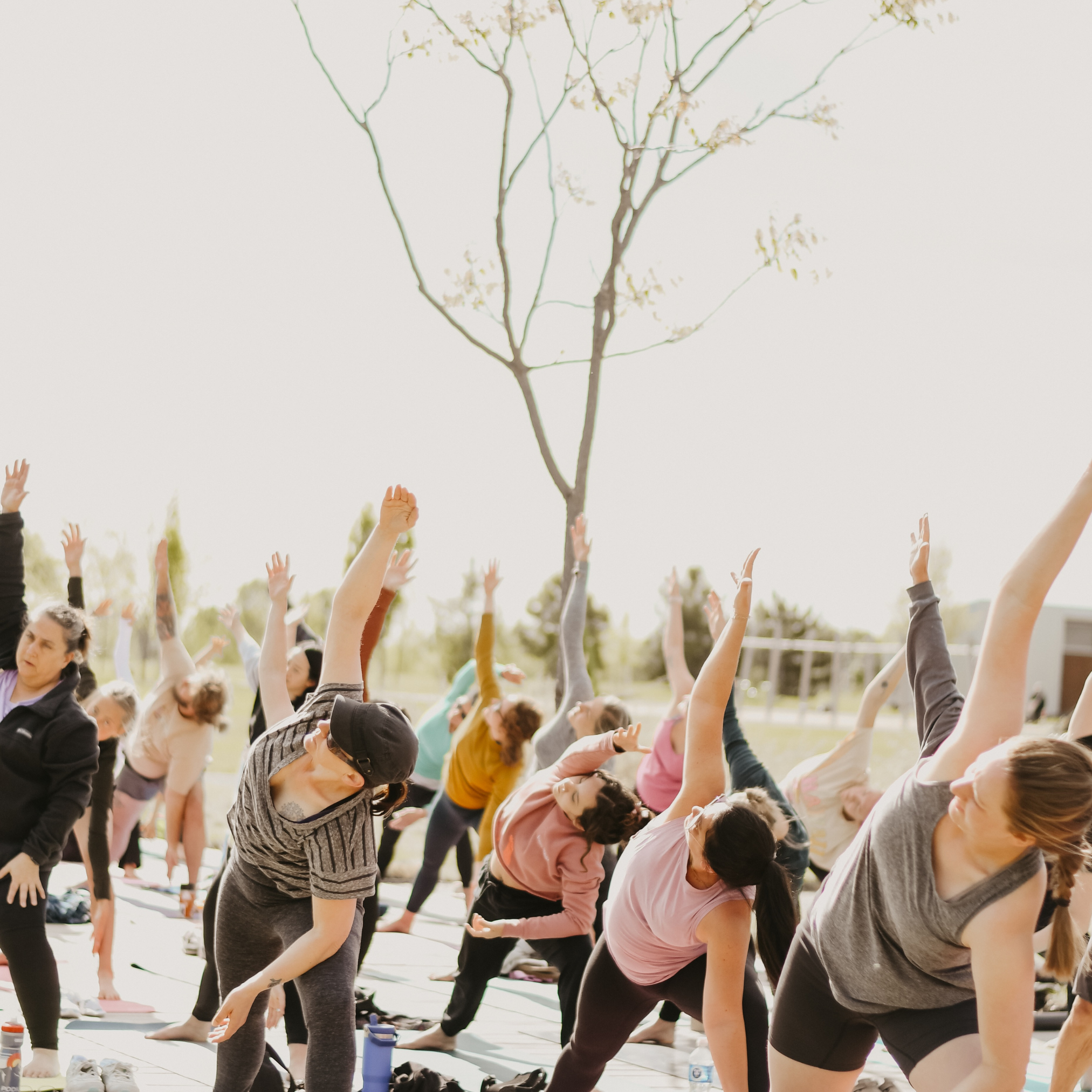 FREE PARK YOGA (Copy)