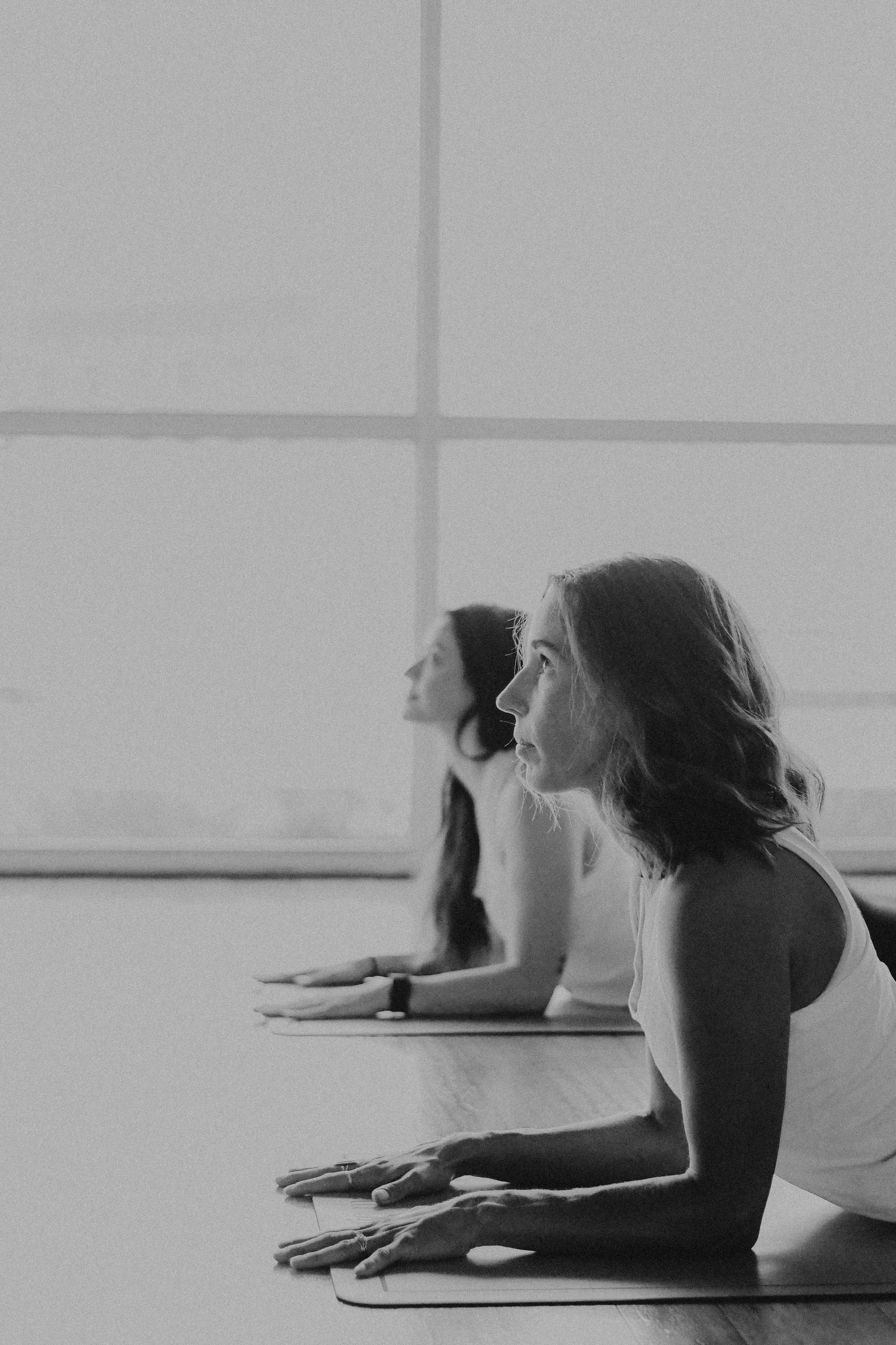 From Roots to Leaves - Yoga Asana Alignment Workshop