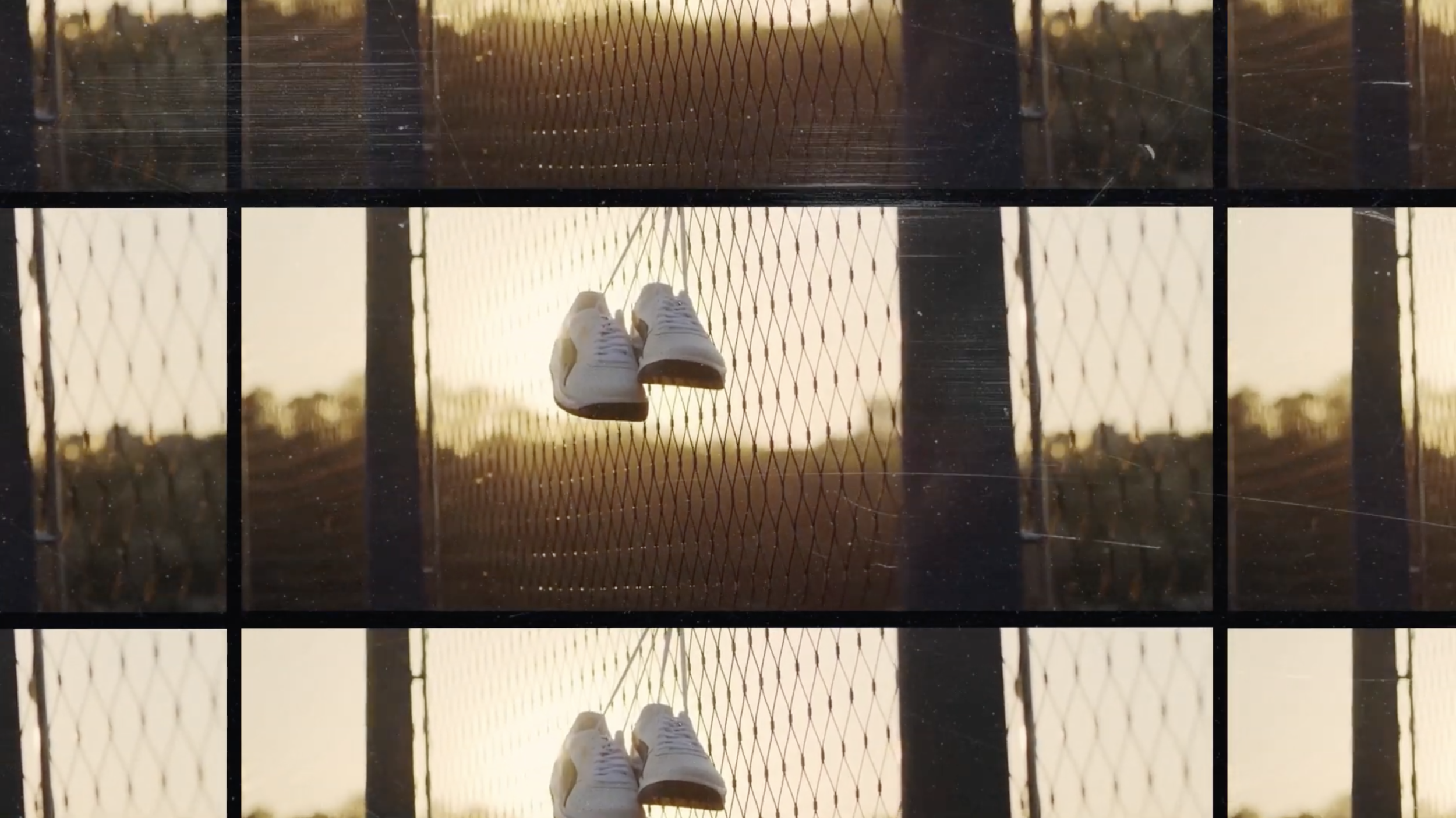 Puma-Explainer-12.jpg