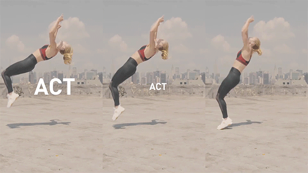 Puma-Explainer-6.gif
