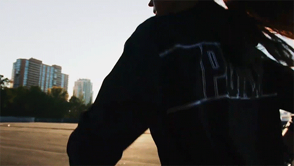 Puma-Explainer-9.gif