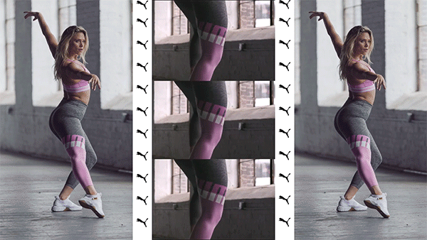 Puma-Explainer-1.gif