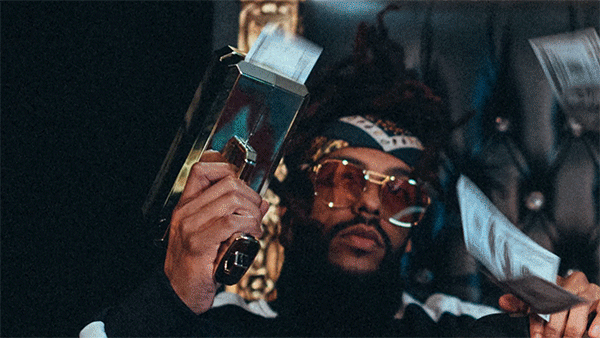 Puma-Explainer-7.gif