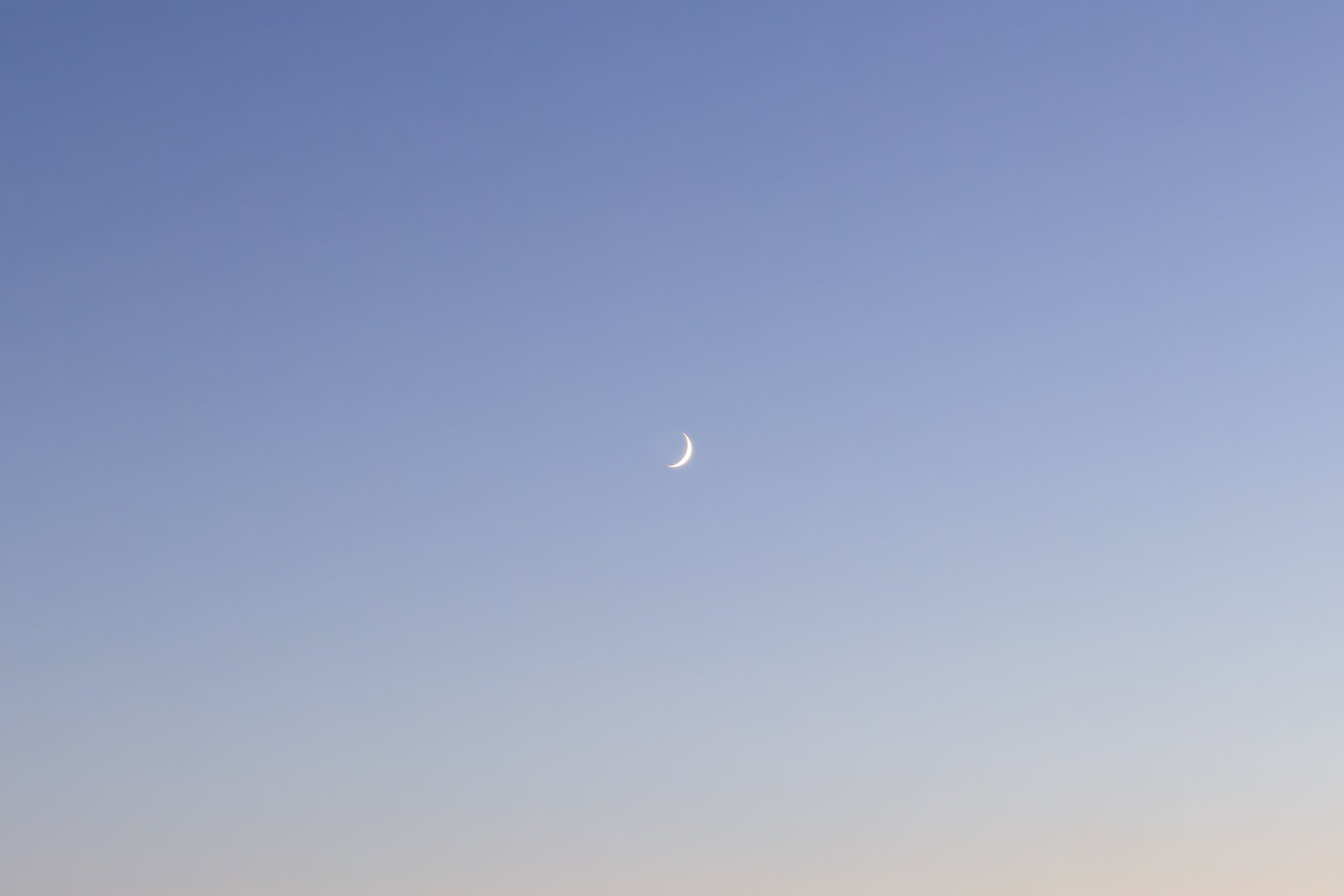 Moon-Endless-Summer.jpg