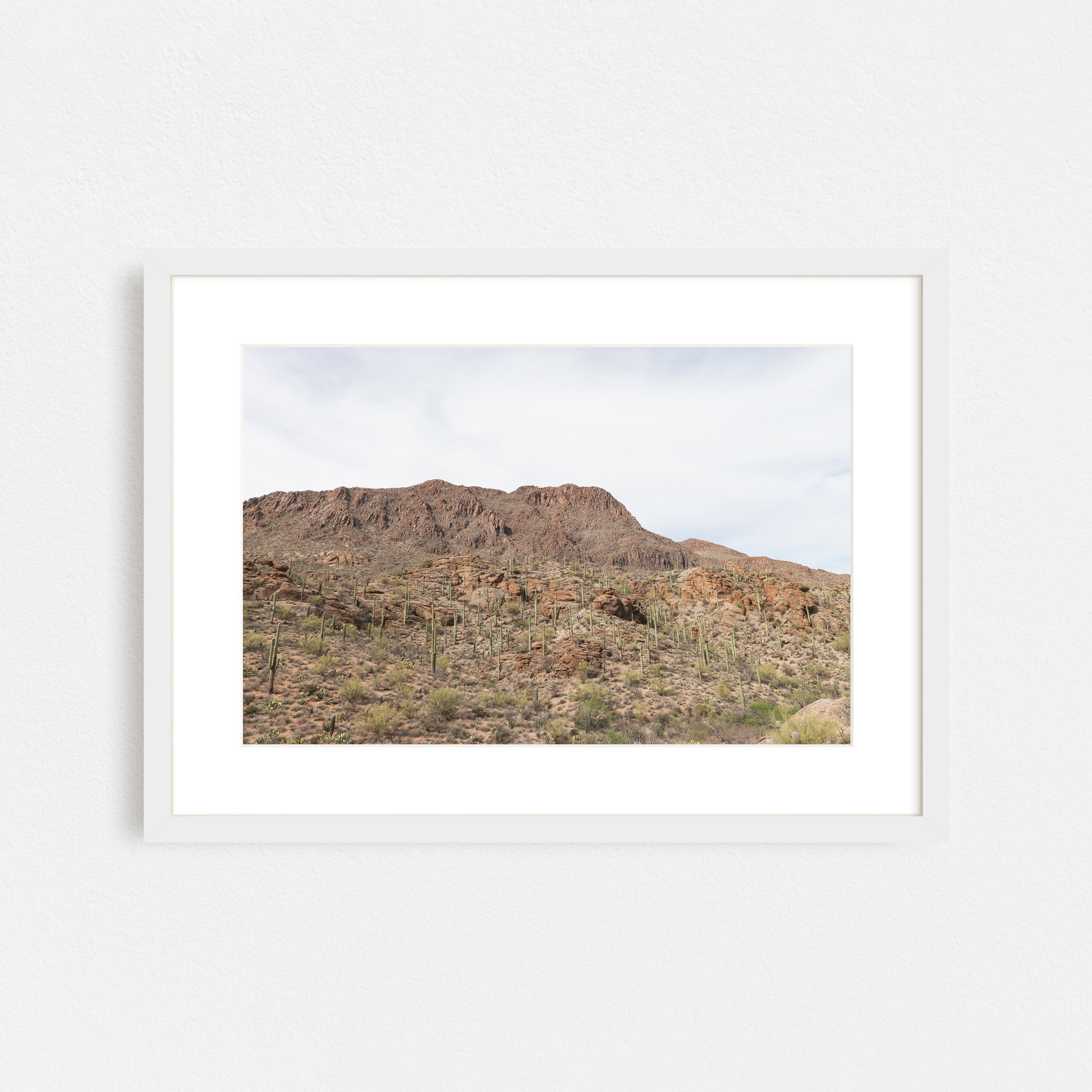 Overlook-Sonoran-Desert-Frame-White-Matted-Taylor-Roberts-Photography-Print-Shop-Wall-Art.jpg