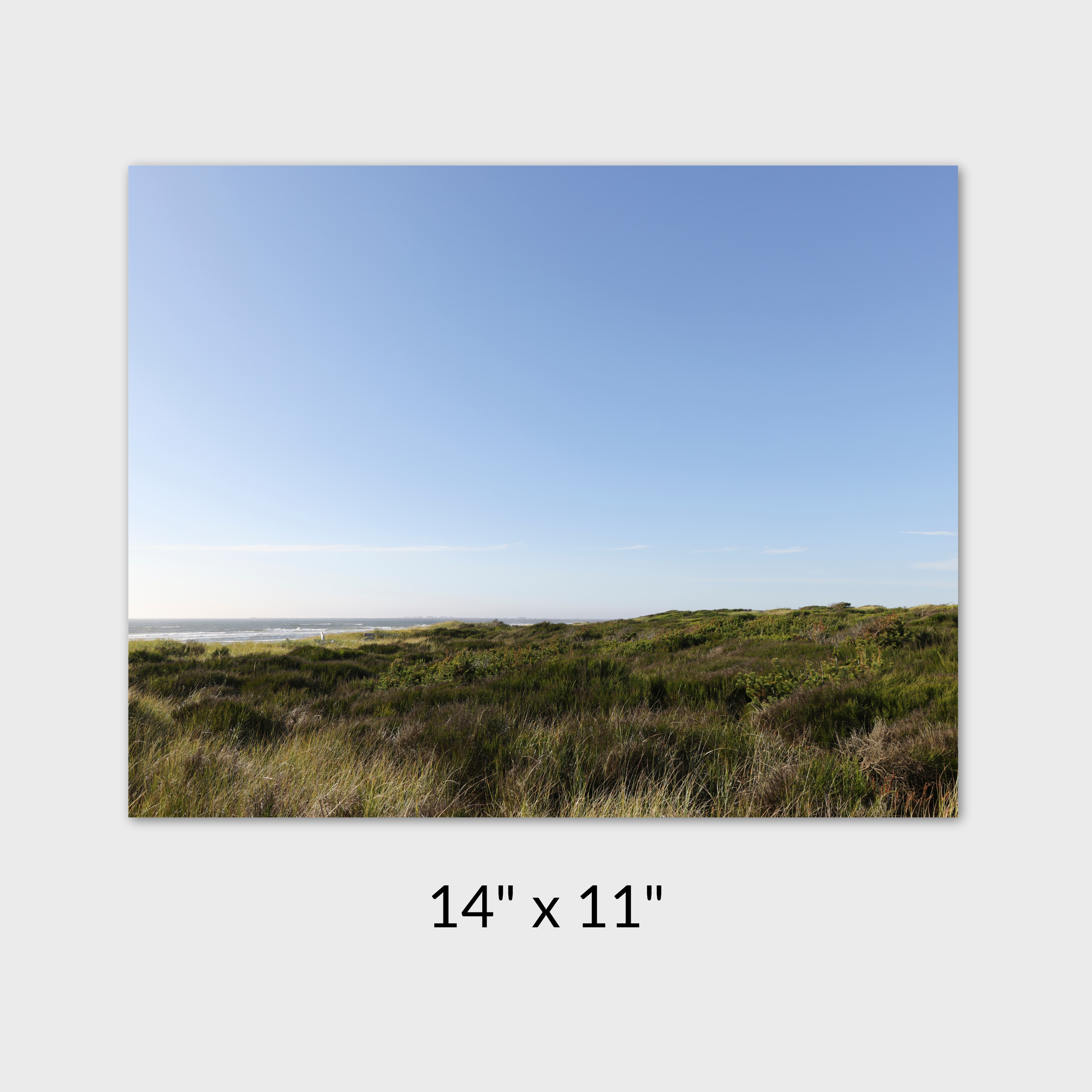 Pop-up show product variants (9).png