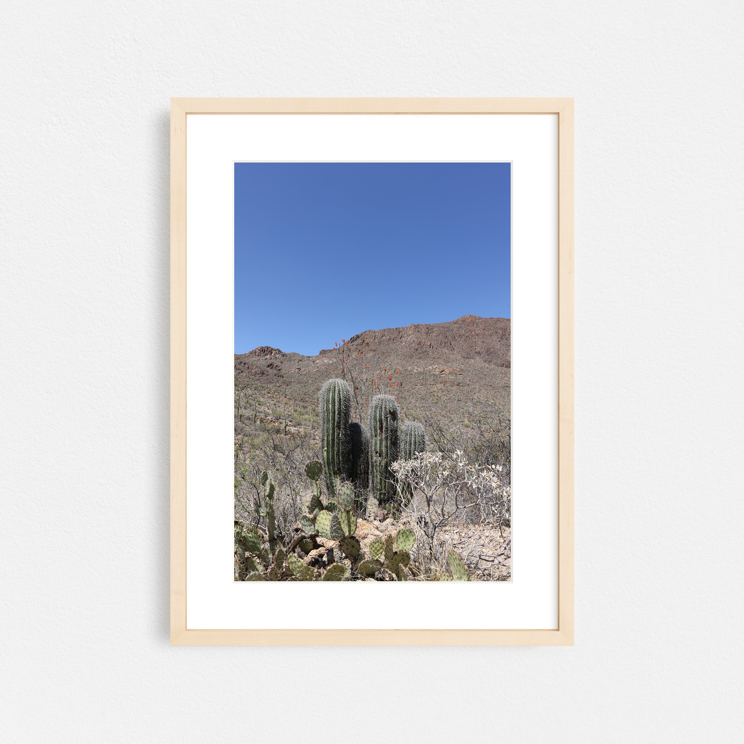 Happy-Together-Sonoran-Desert-Frame-Natural-Matted-Taylor-Roberts-Photography-Print-Shop-Wall-Art.jpg