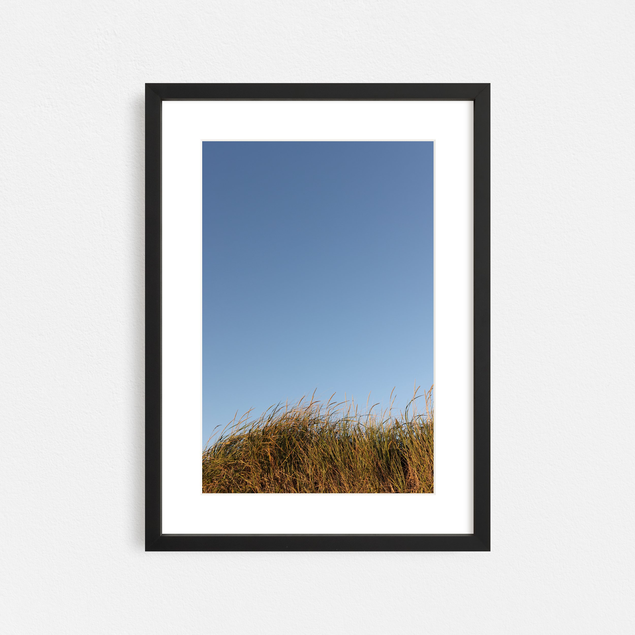 Windswept-Endless-Summer-Frame-Black-Matted-Taylor-Roberts-Photography-Print-Shop-Wall-Art.jpg