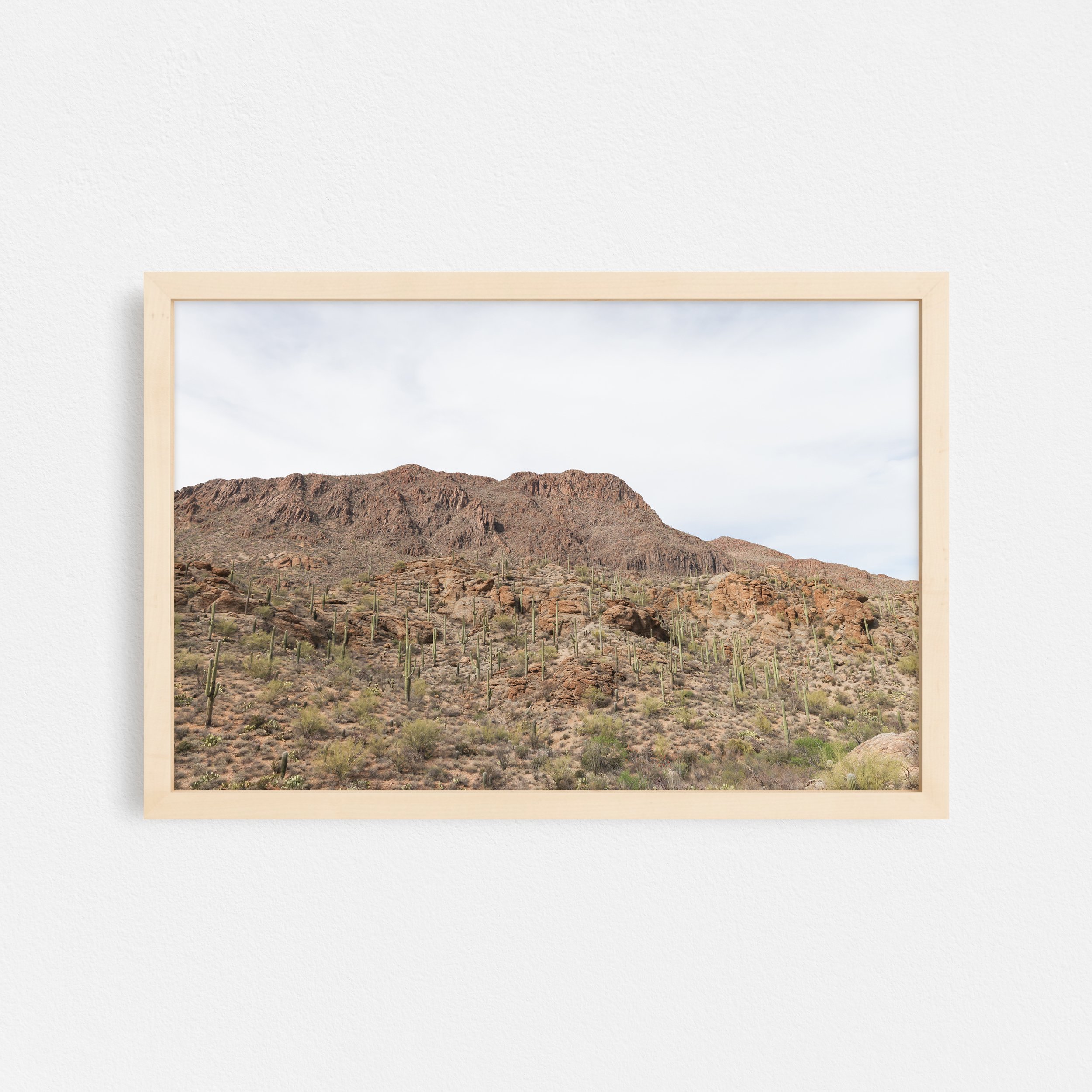Overlook-Sonoran-Desert-Frame-Natural-Taylor-Roberts-Photography-Print-Shop-Wall-Art.jpg
