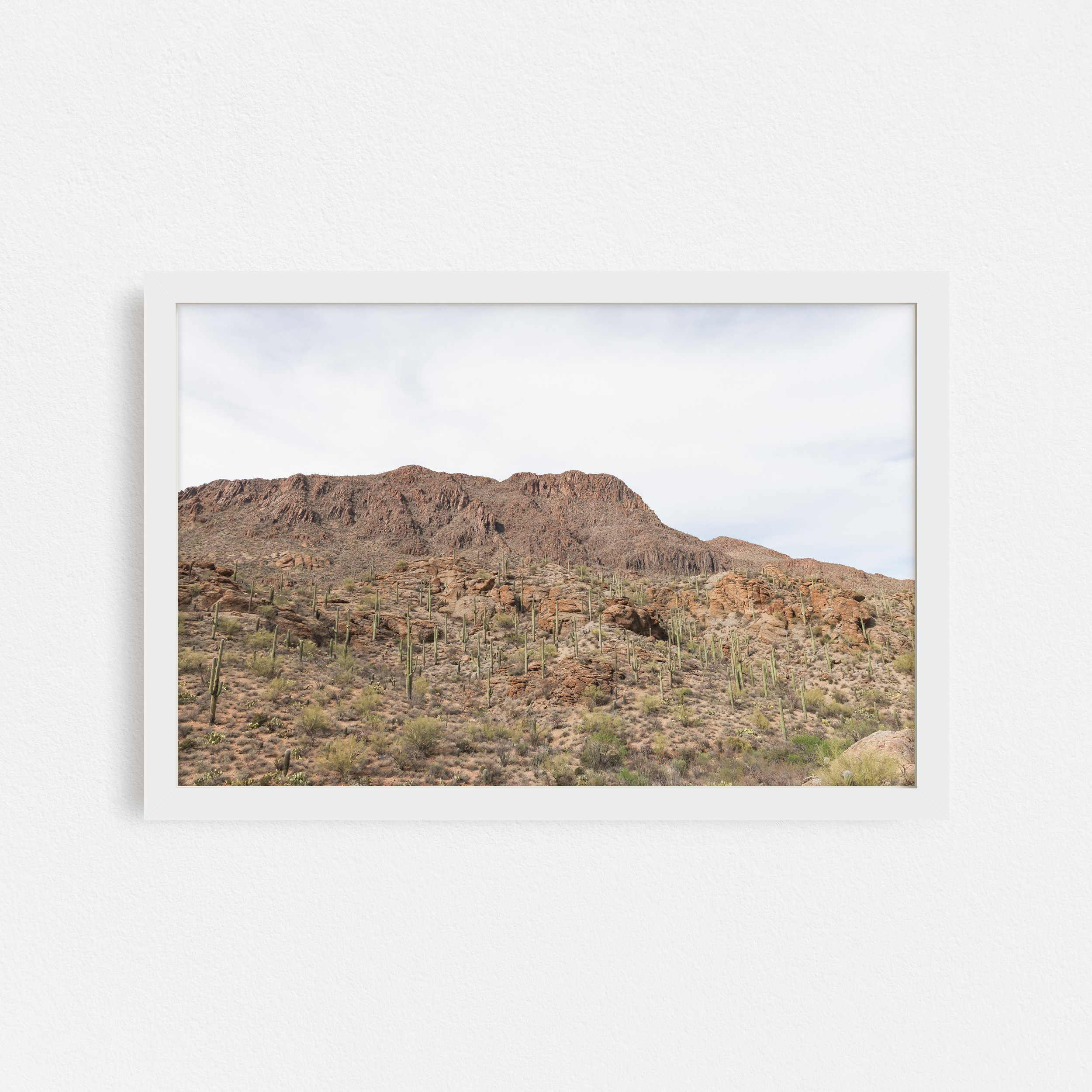 Overlook-Sonoran-Desert-Frame-White-Taylor-Roberts-Photography-Print-Shop-Wall-Art.jpg