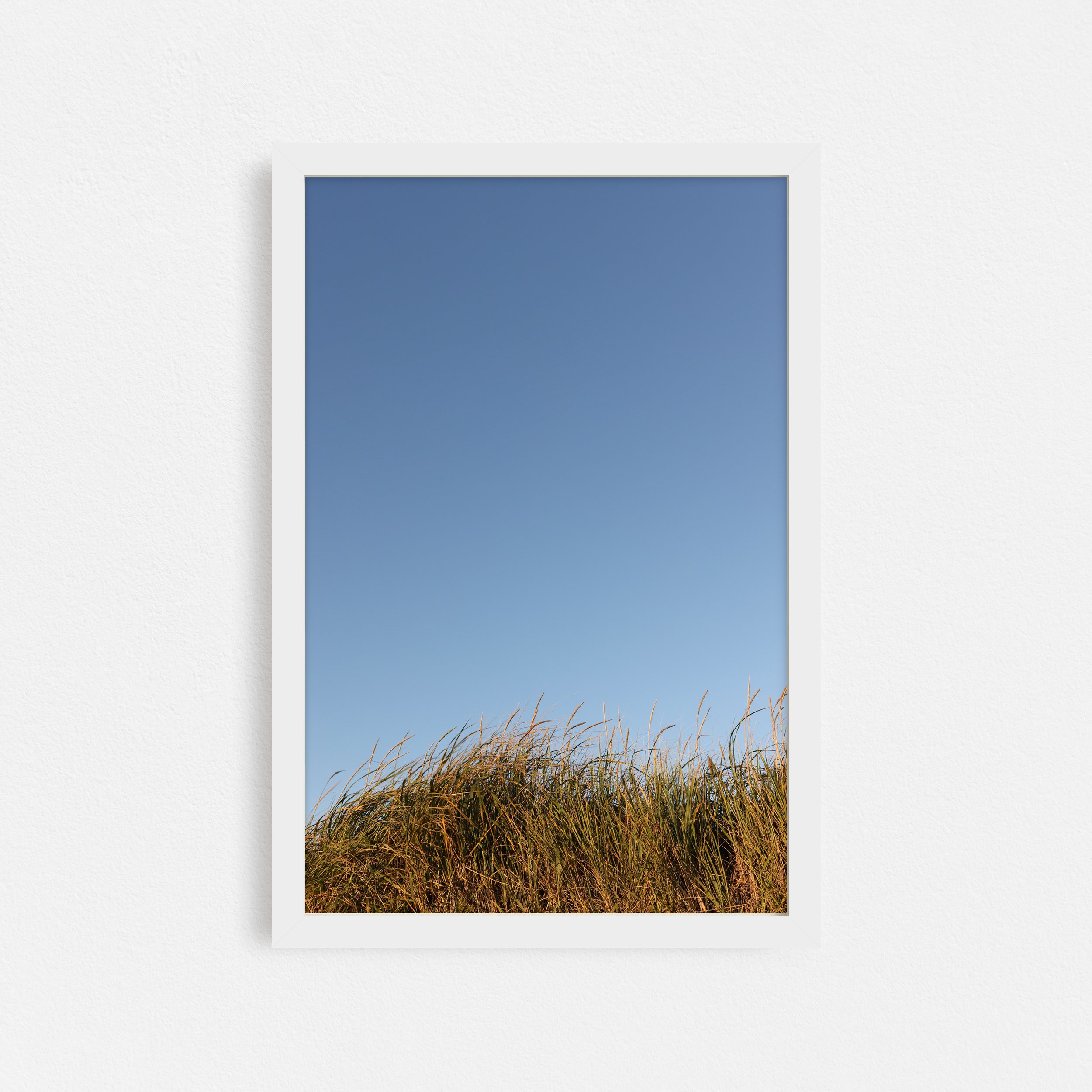 Windswept-Endless-Summer-Frame-White-Taylor-Roberts-Photography-Print-Shop-Wall-Art.jpg