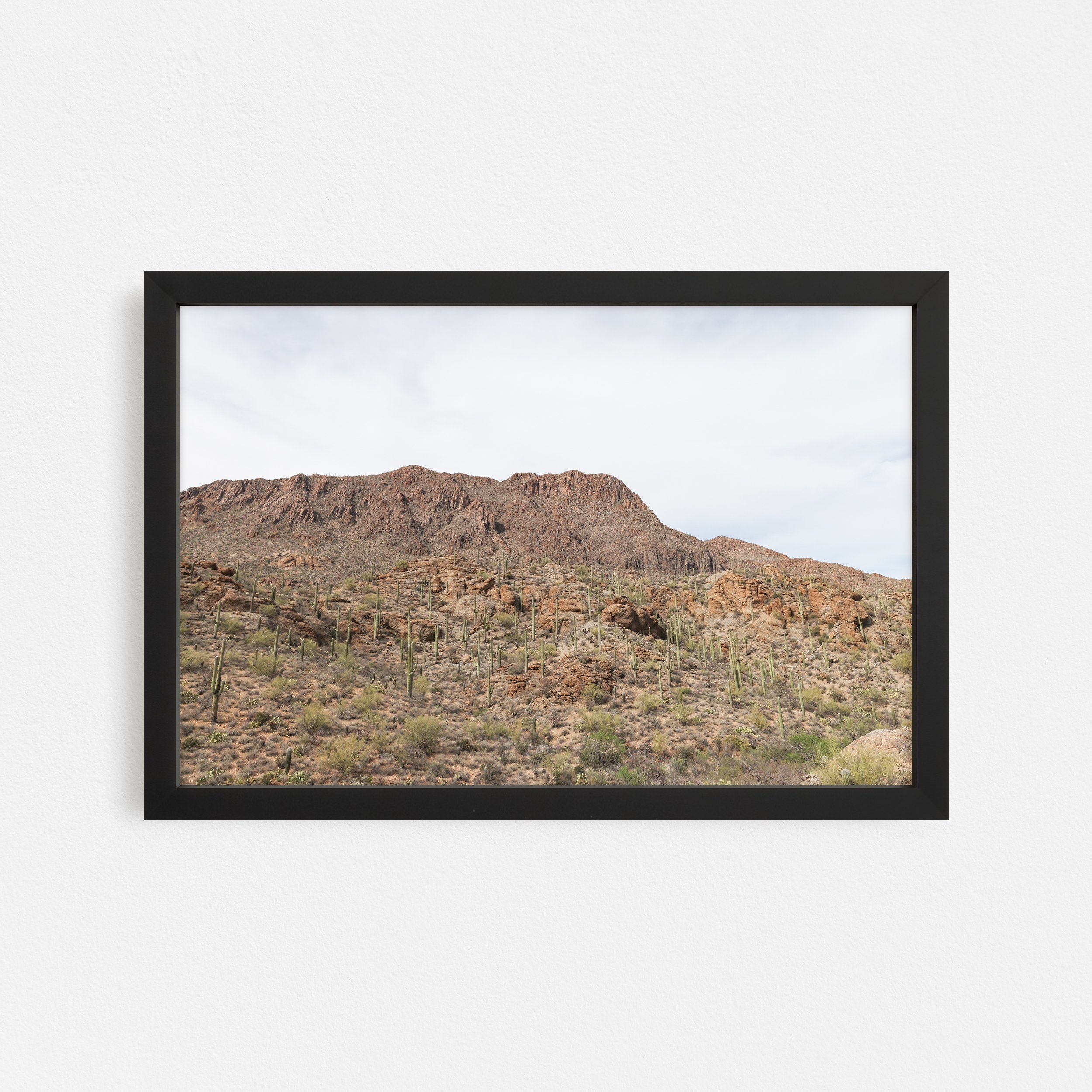 Overlook-Sonoran-Desert-Frame-Black-Taylor-Roberts-Photography-Print-Shop-Wall-Art.jpg