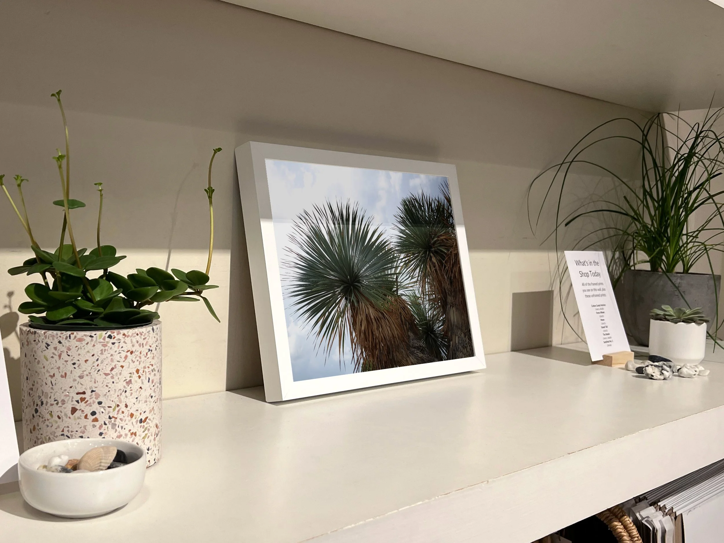 Stand-Tall-Framed-Madewell-Show-Fine-Art-Taylor-Roberts-Photography.jpg