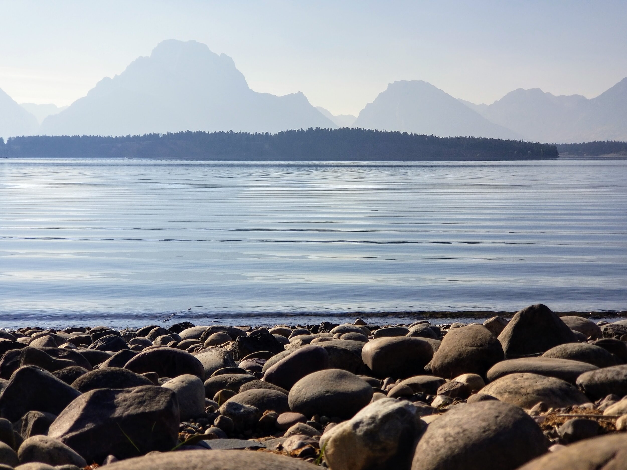 20201003_164340.jpg