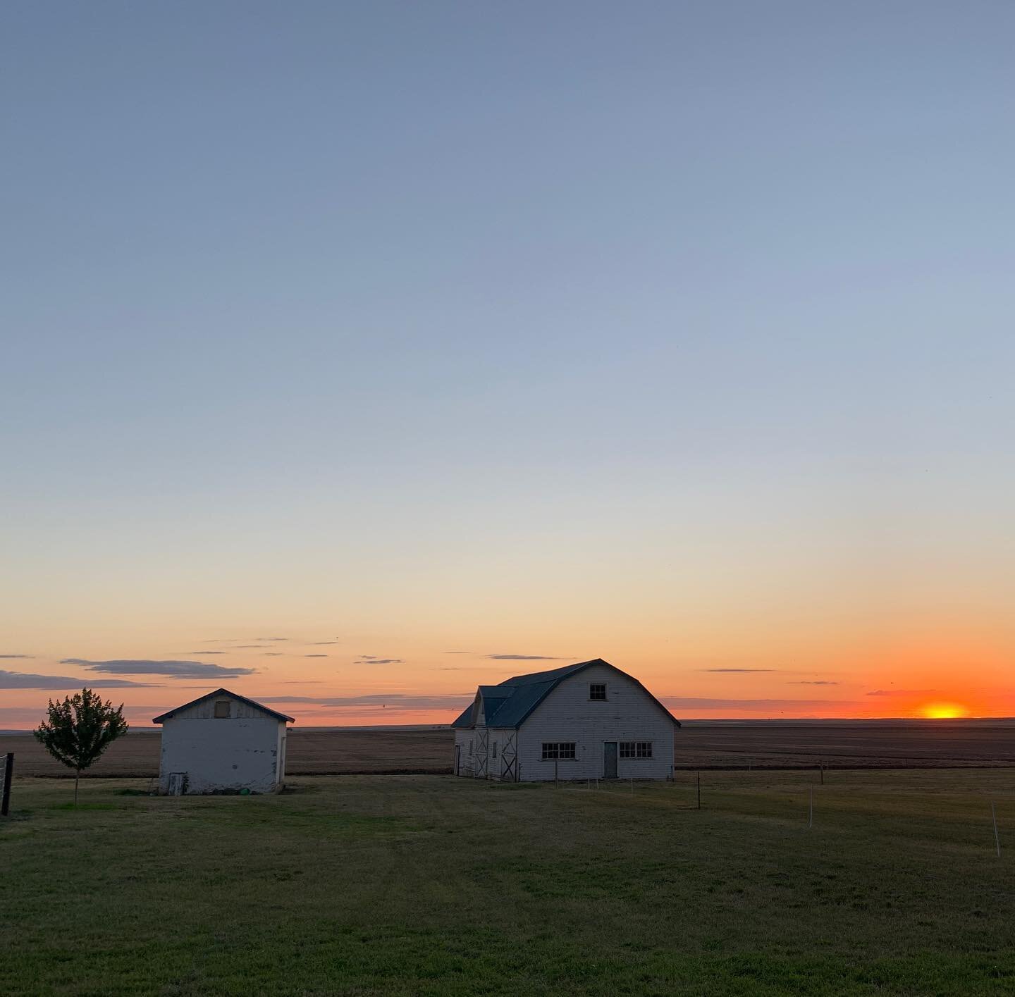 Summer sunsets AMAZING!