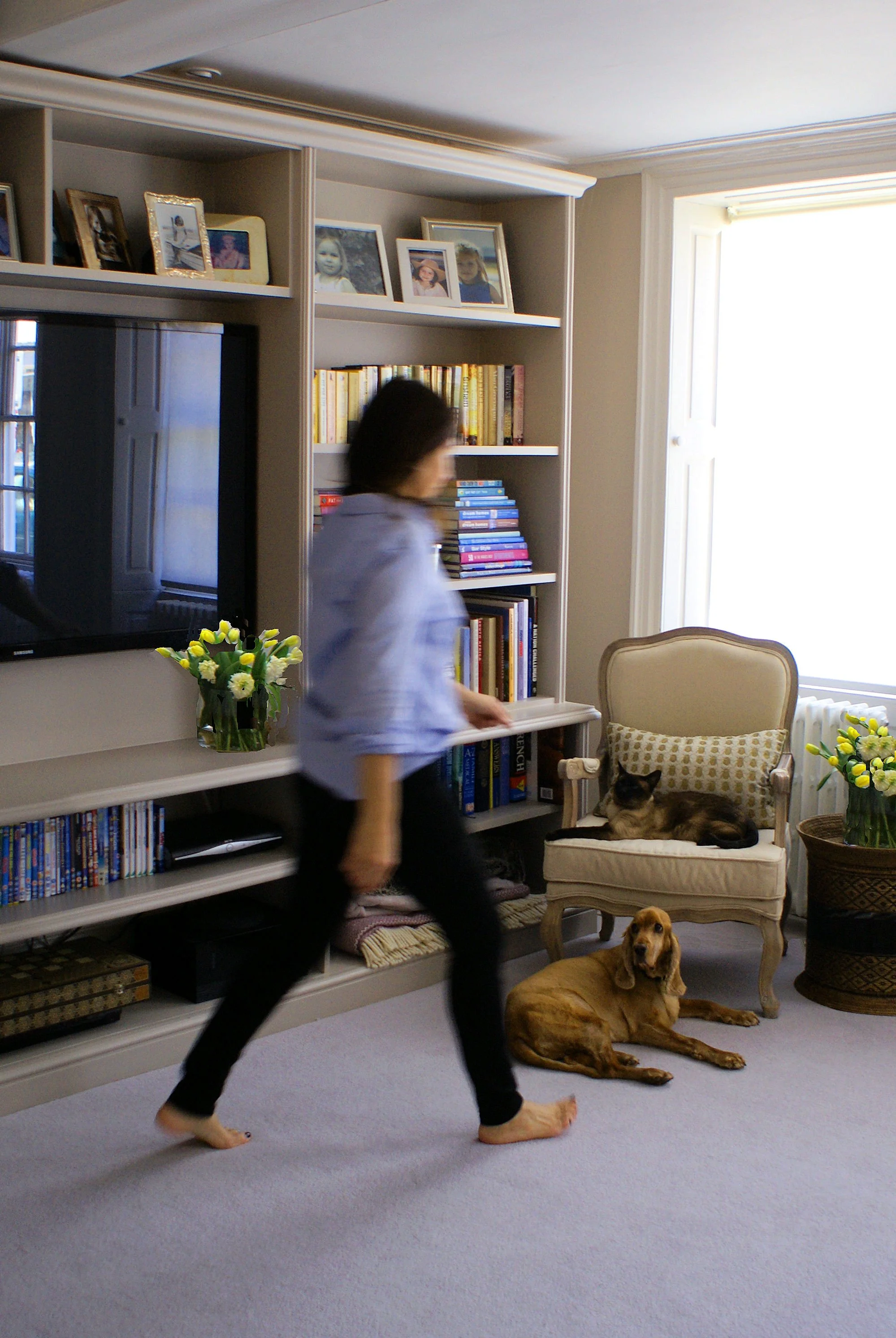  Georgian Multimedia Lounge - family cinema room with large sash windows, here translucent blinds elegantly shield this south facing room. 