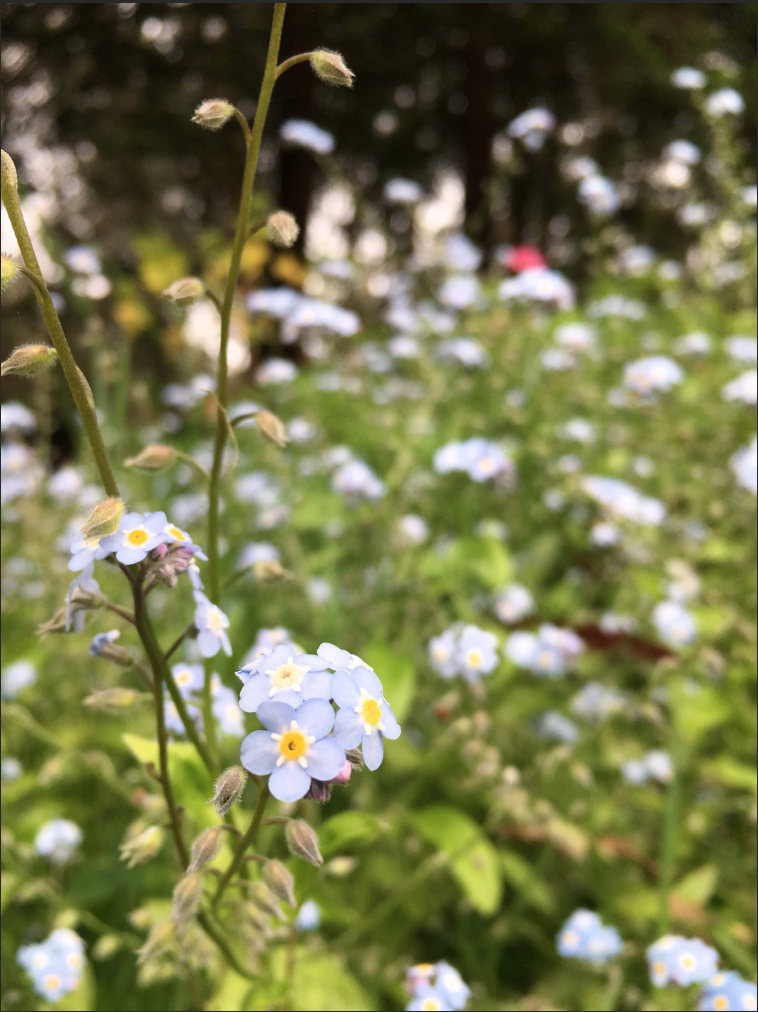 Screen Shot 2021-07-21 at 9.29.46 PM.png